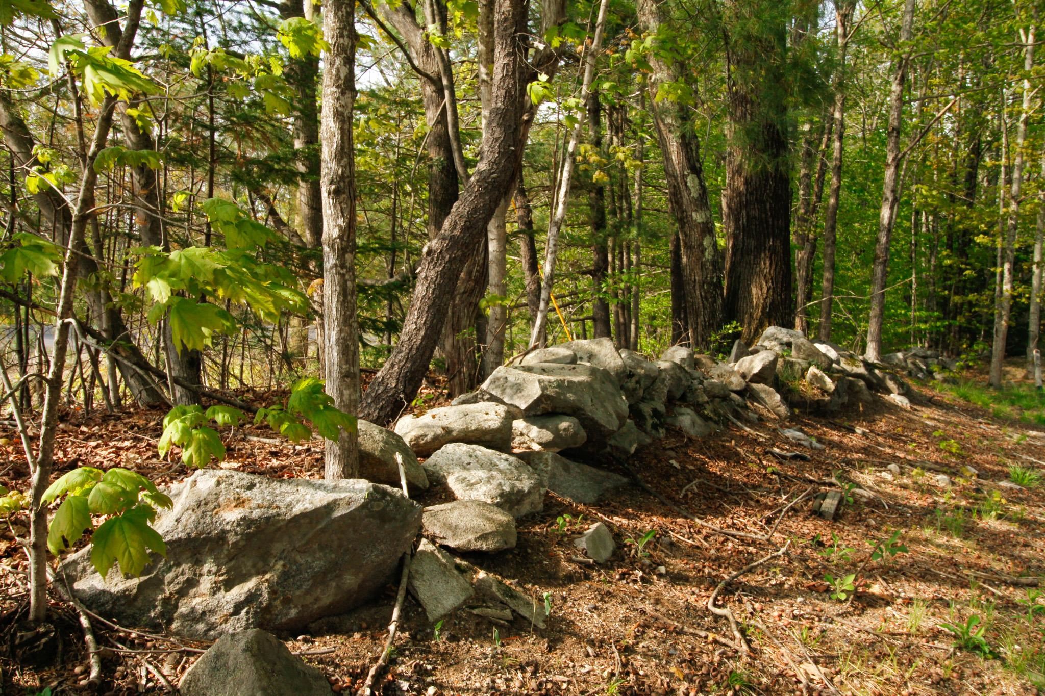 224 Lot 20 Elijah Beede Road Property Photo 3