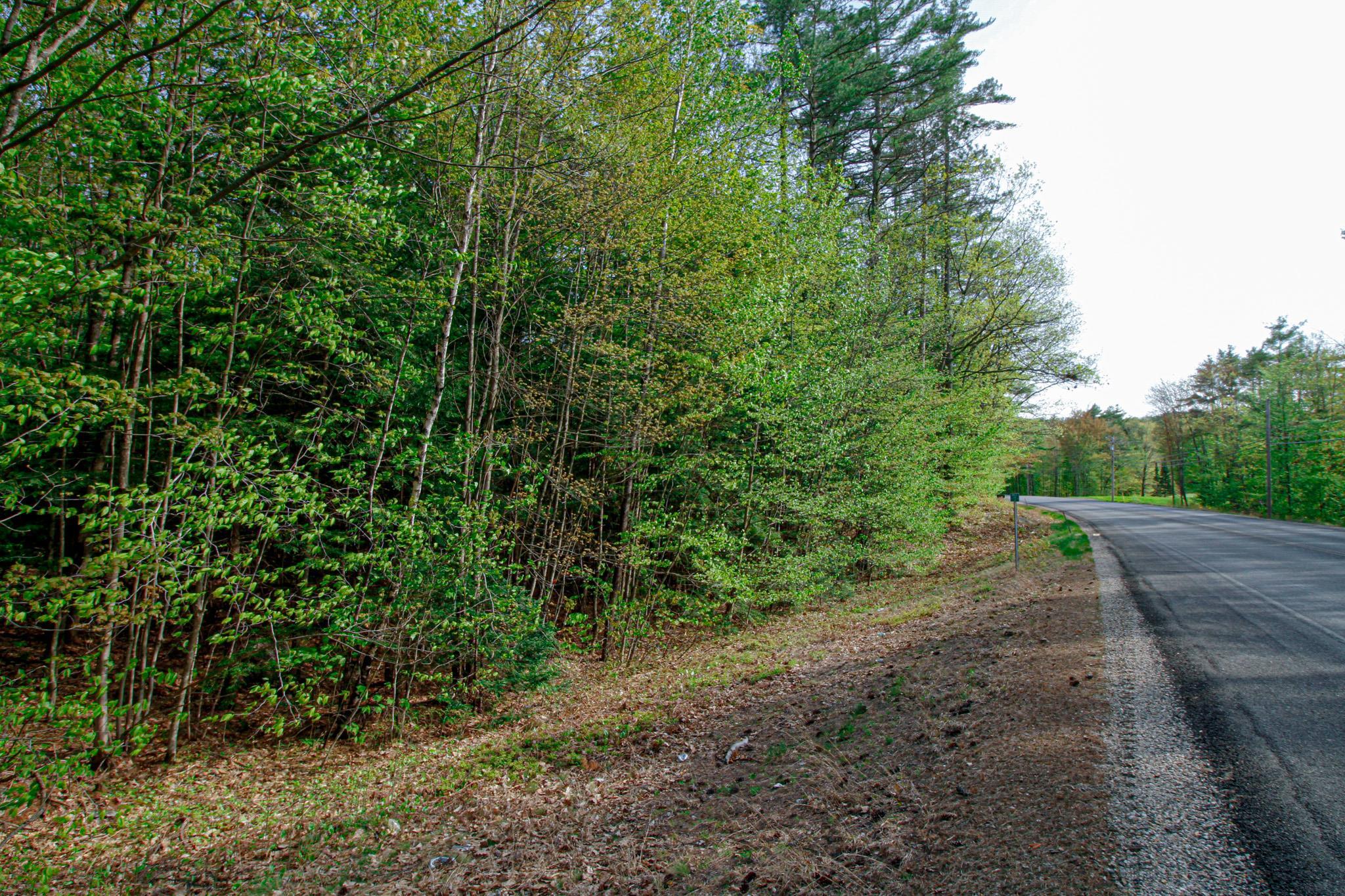 224 Lot 20 Elijah Beede Road Property Photo 4