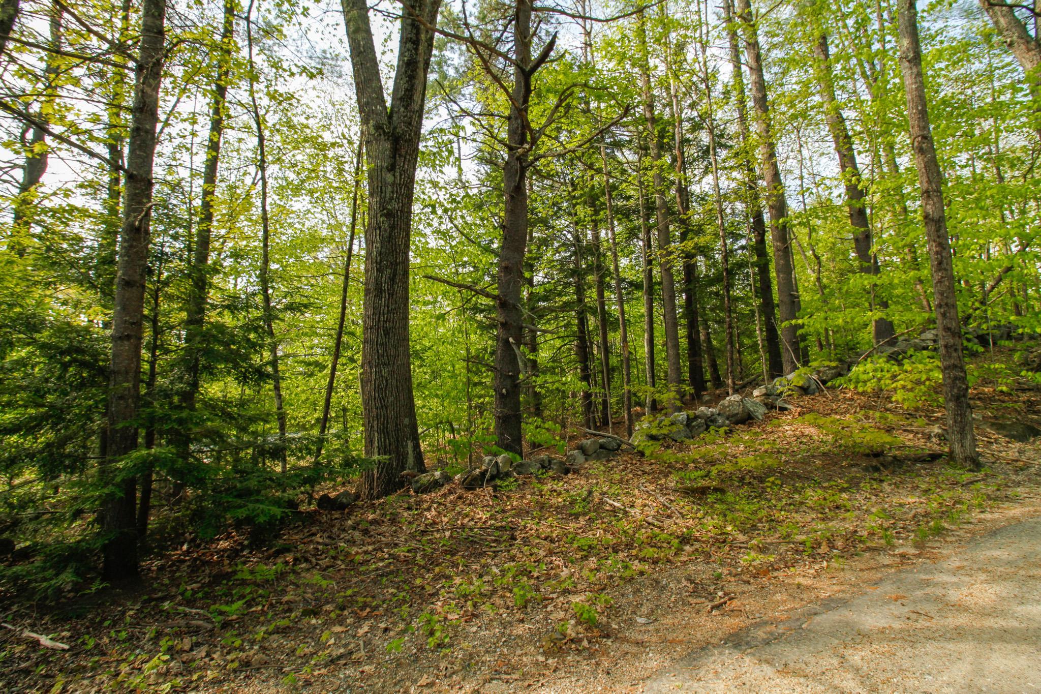 224 Lot 20 Elijah Beede Road Property Photo 5