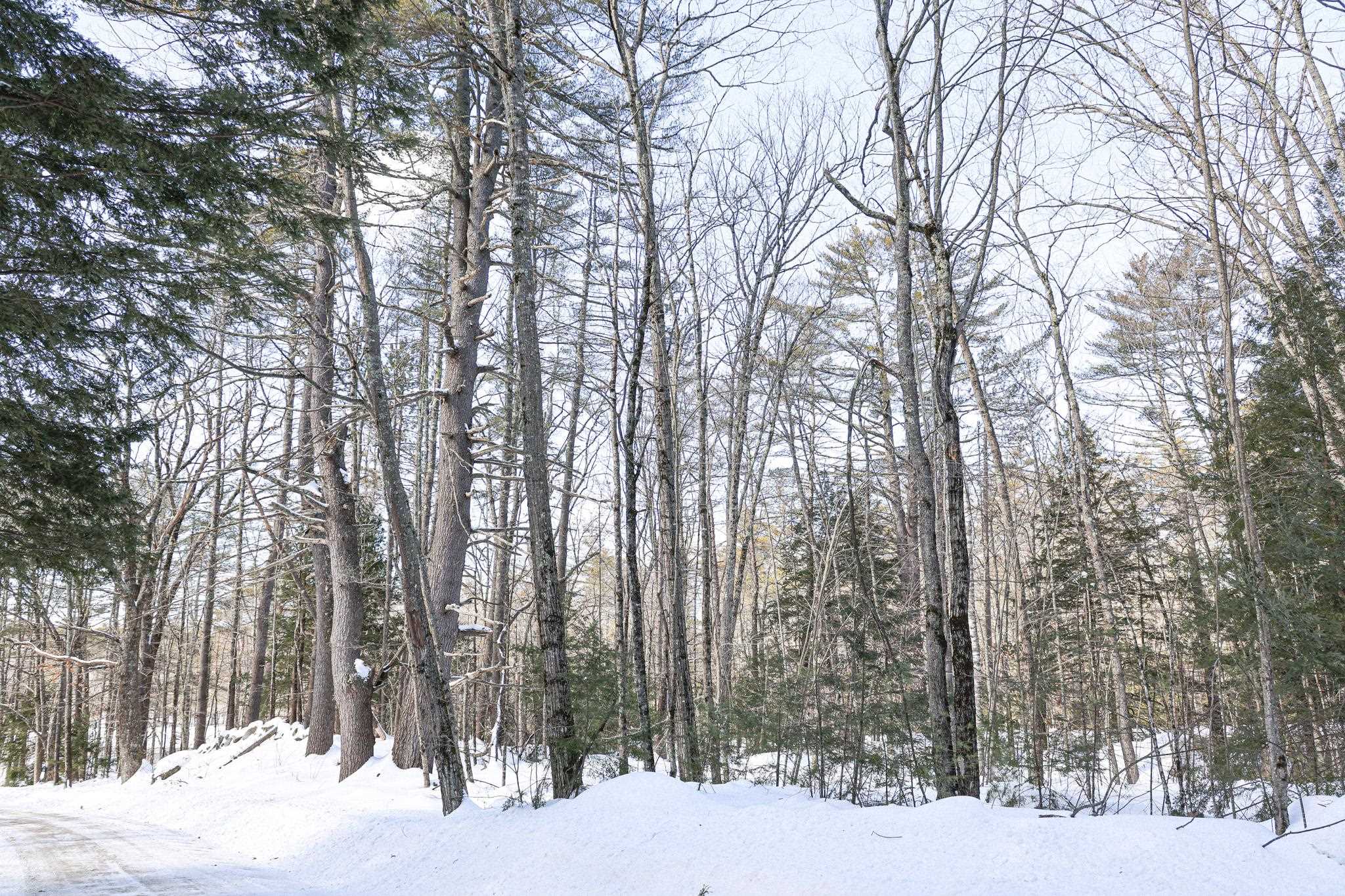 224 Lot 20 Elijah Beede Road Property Photo 8