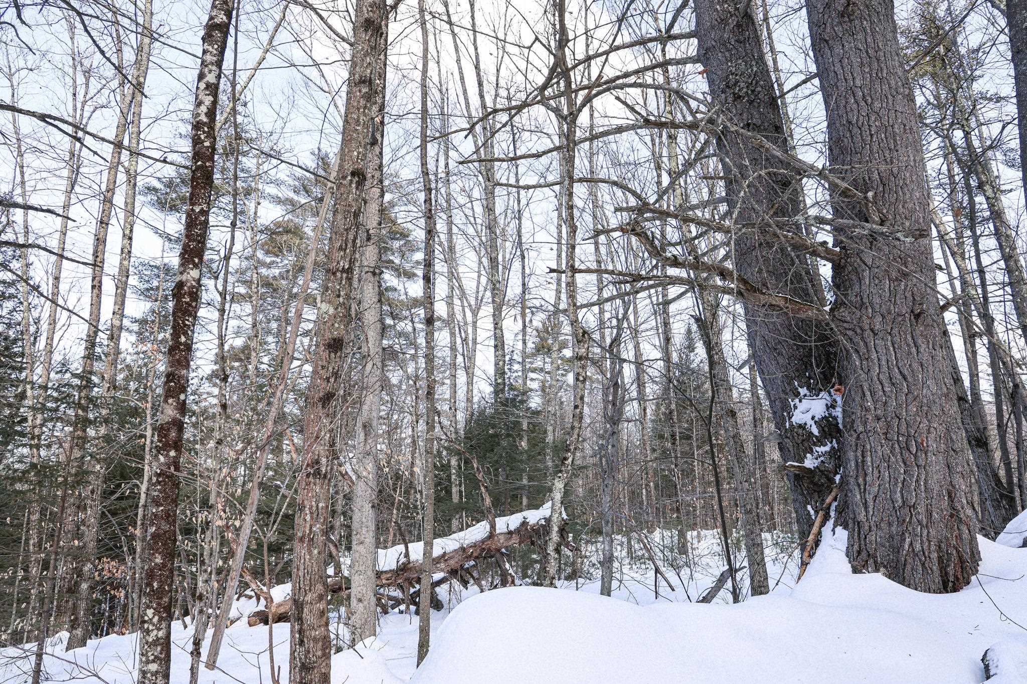 224 Lot 20 Elijah Beede Road Property Photo 11