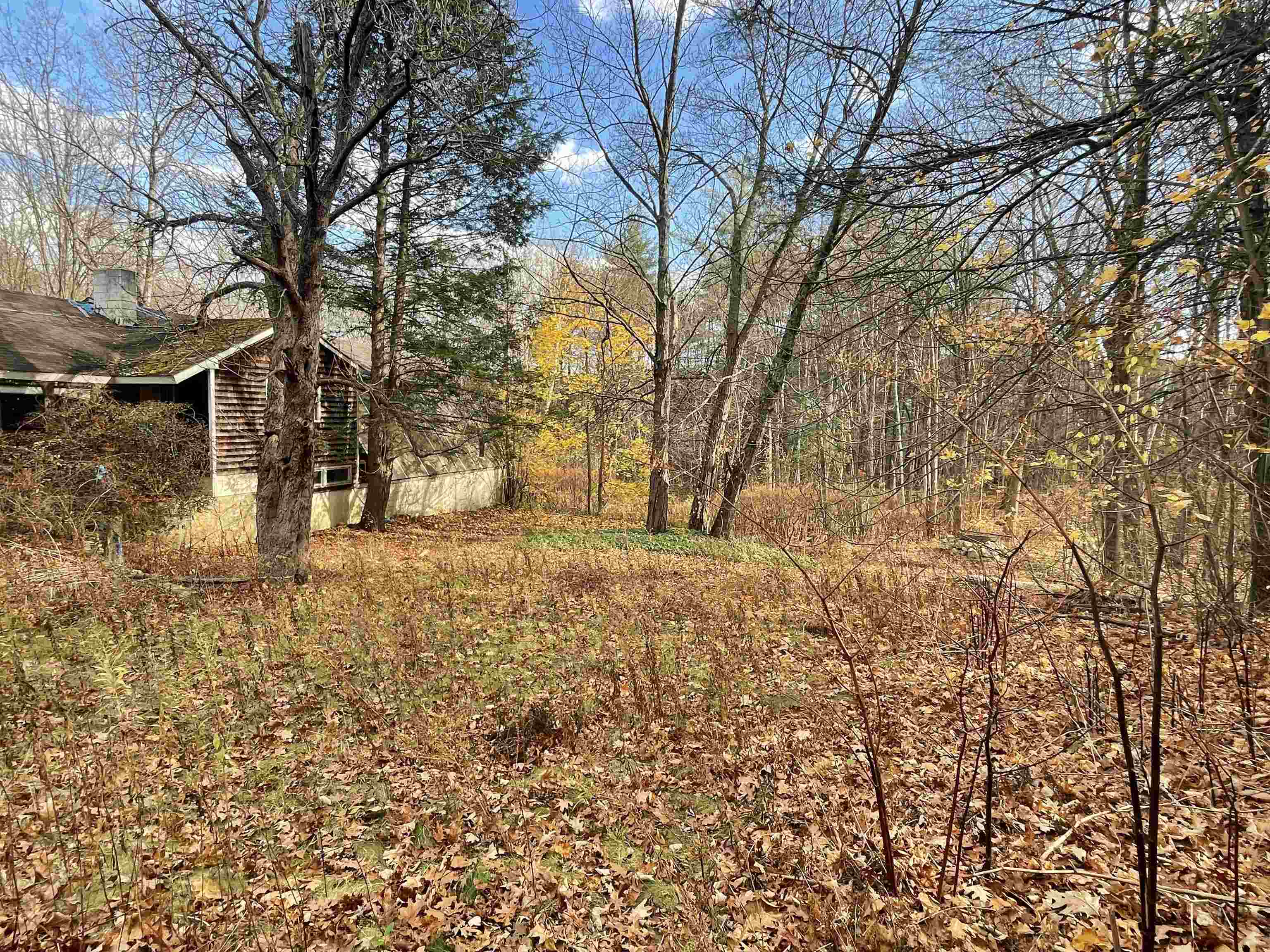 45 Leonard Avenue Property Photo 3