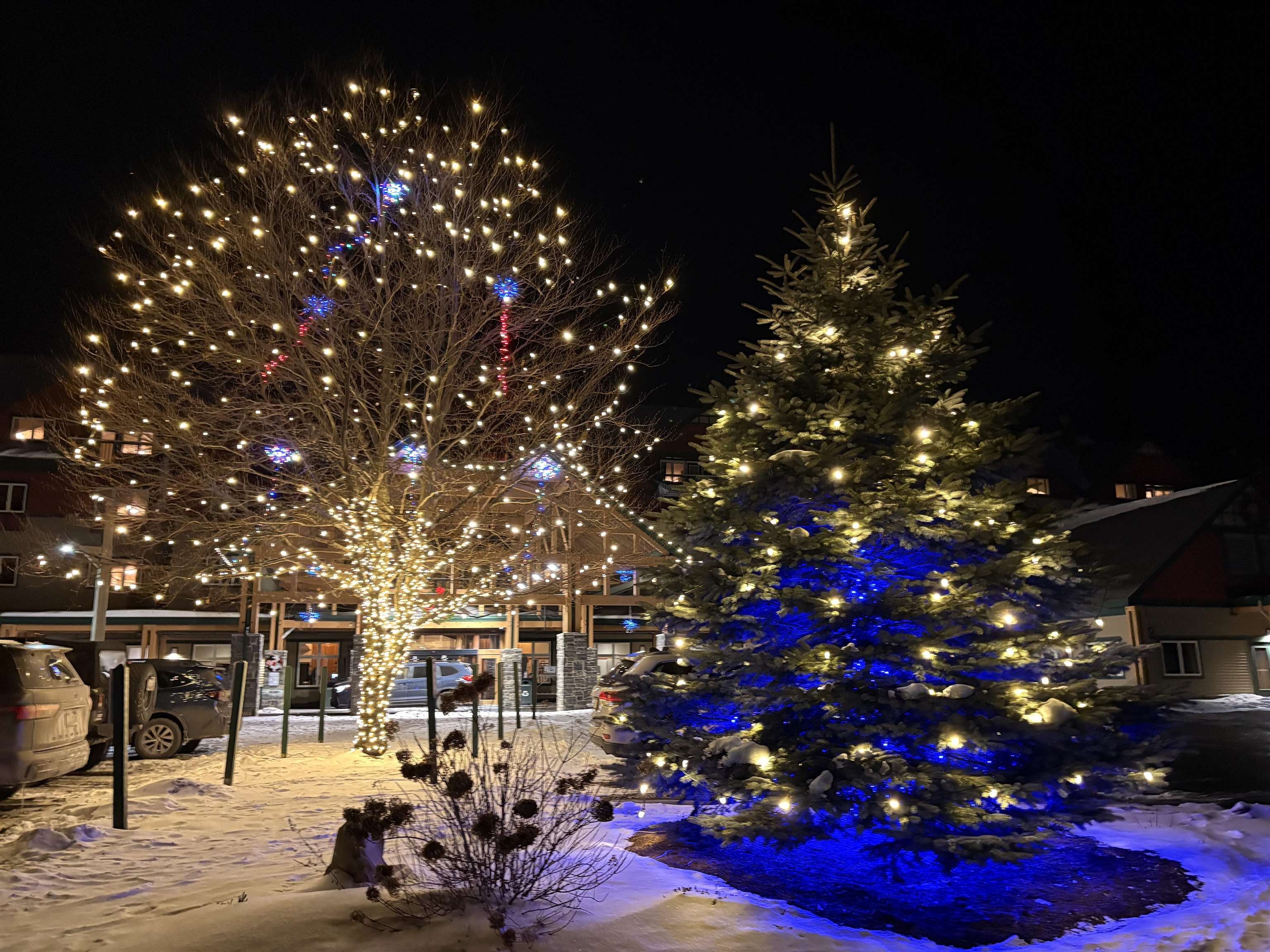 103/05 Qtr.1,89 Grand Summit Way Property Photo 38