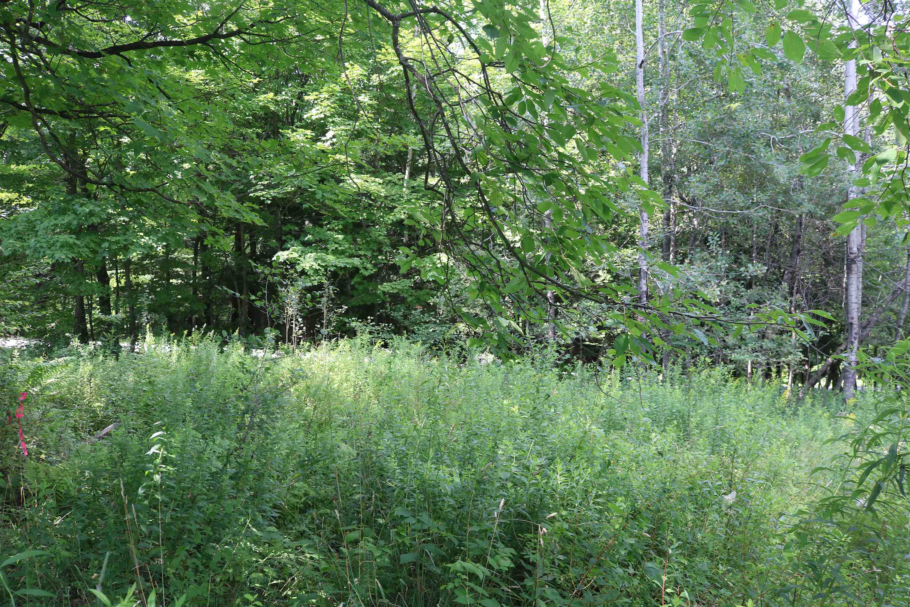 223 Deming Road Property Photo