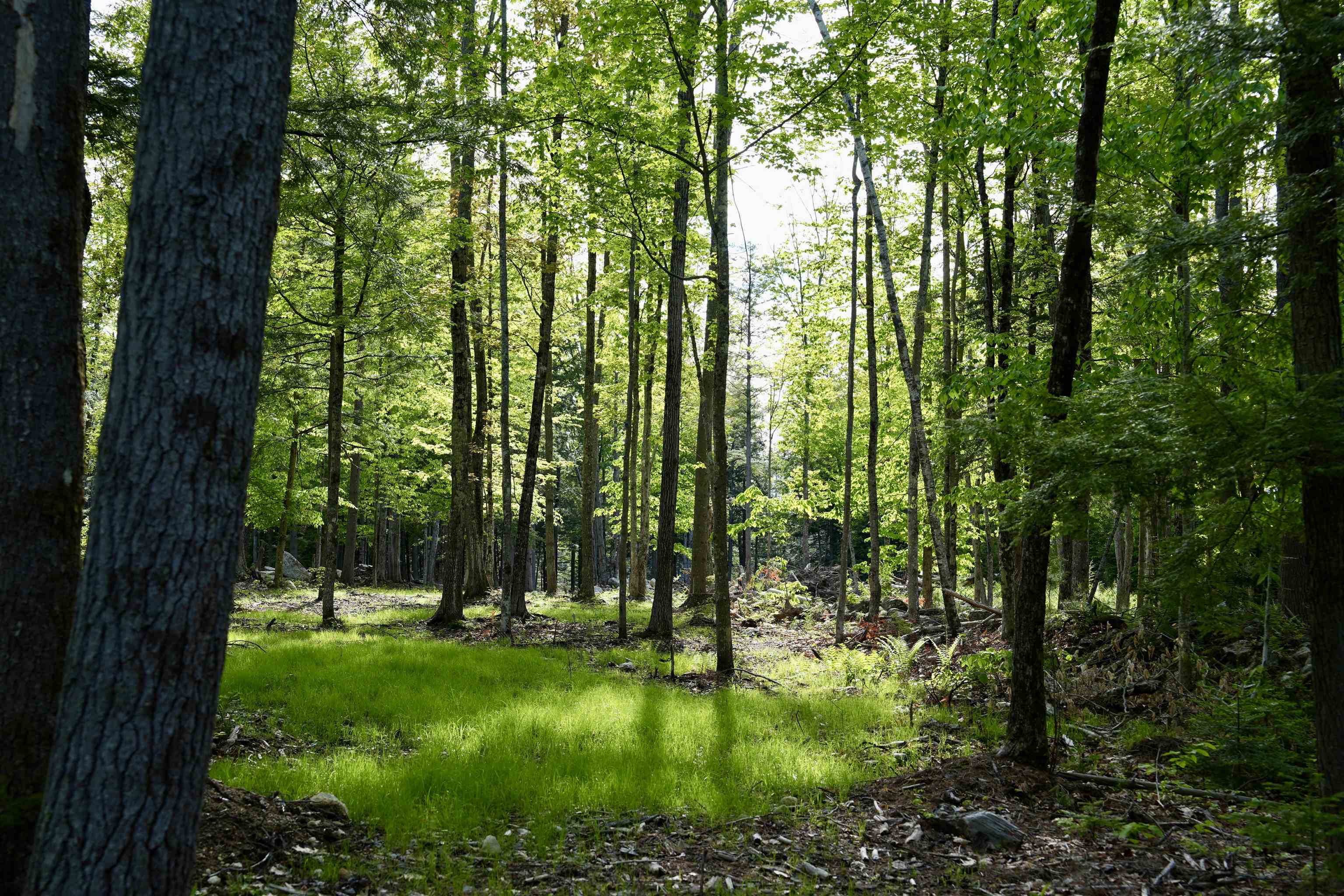 555 Shaker Road Property Photo 12