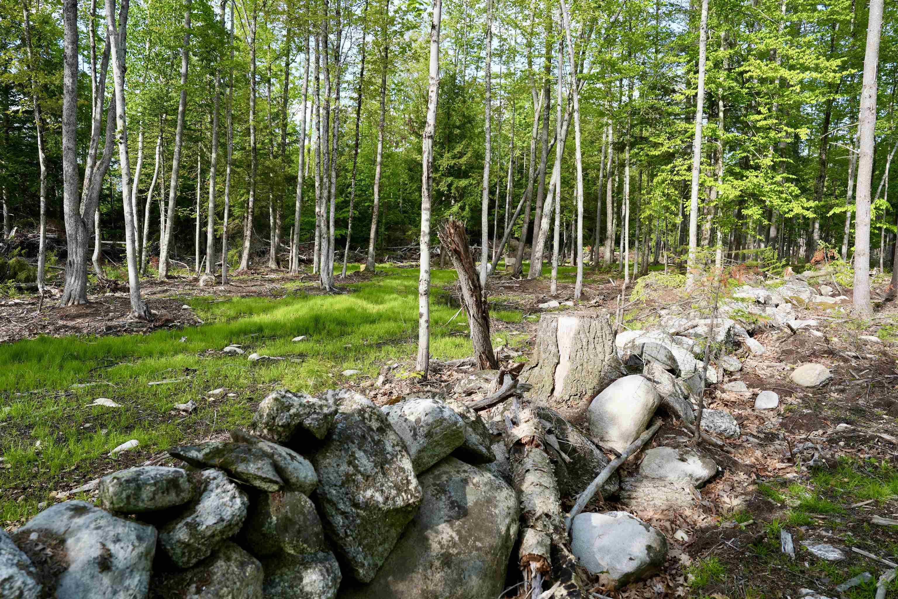 555 Shaker Road Property Photo 13