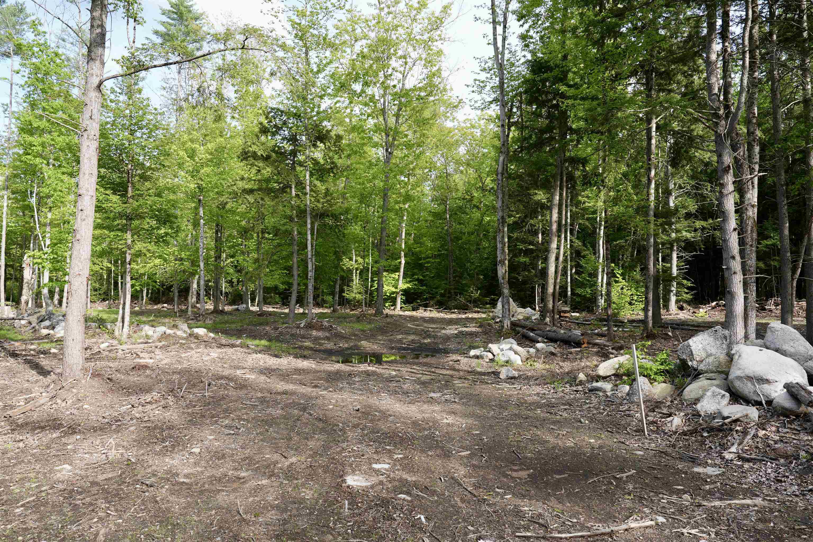 555 Shaker Road Property Photo 15