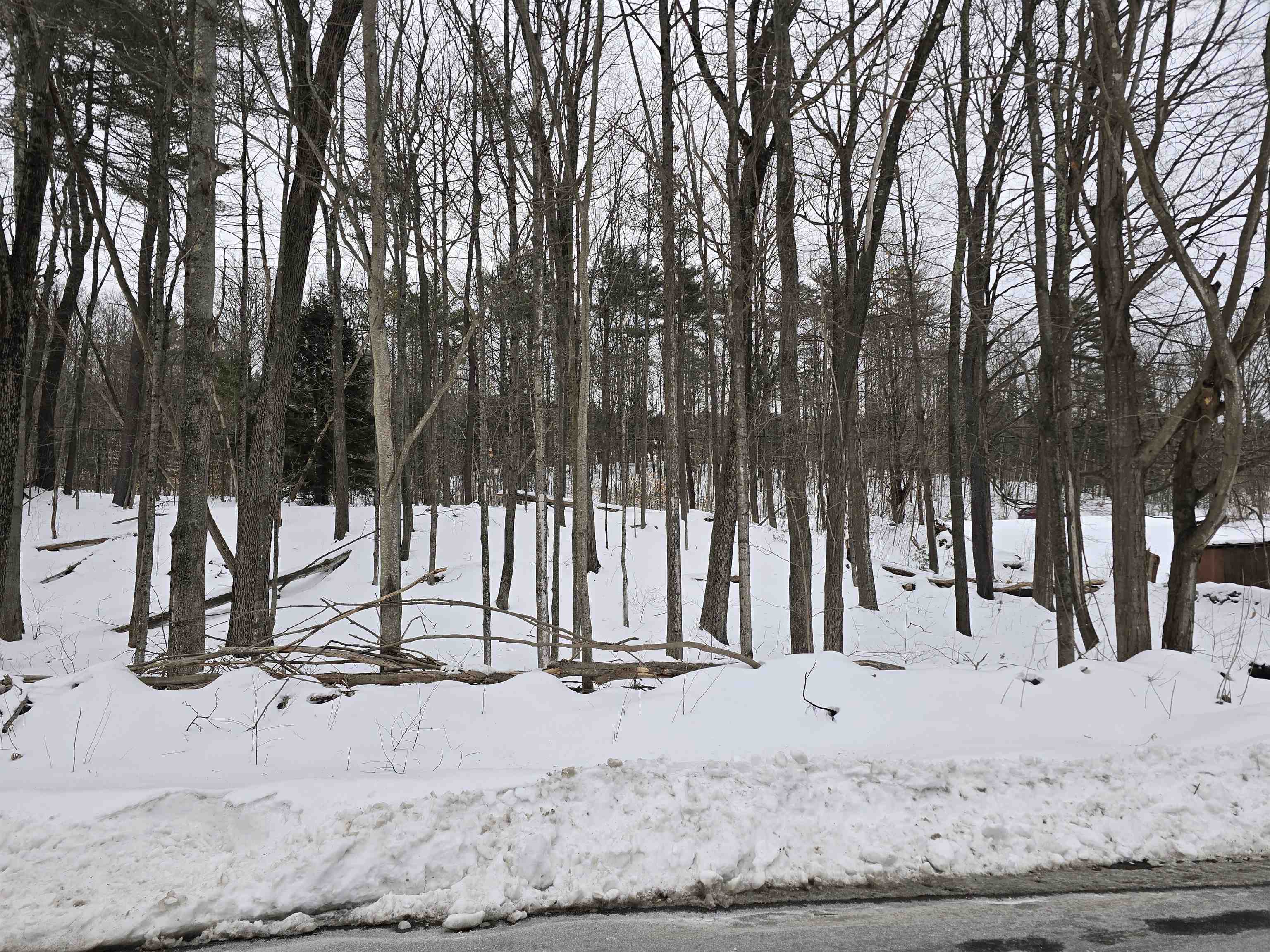 Old Claremont Road Property Photo 2