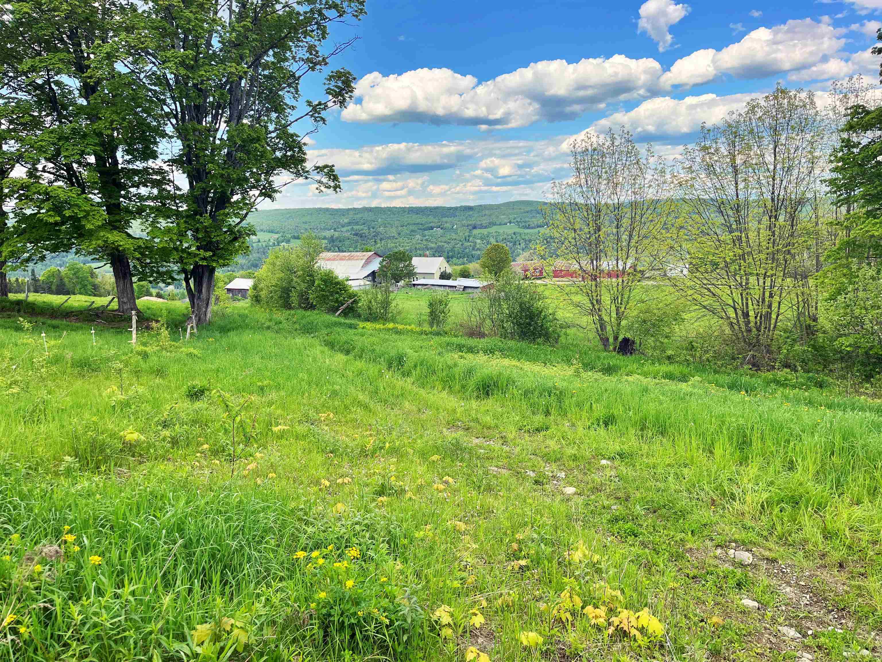 1275 Chesley Hill Road Property Photo 1