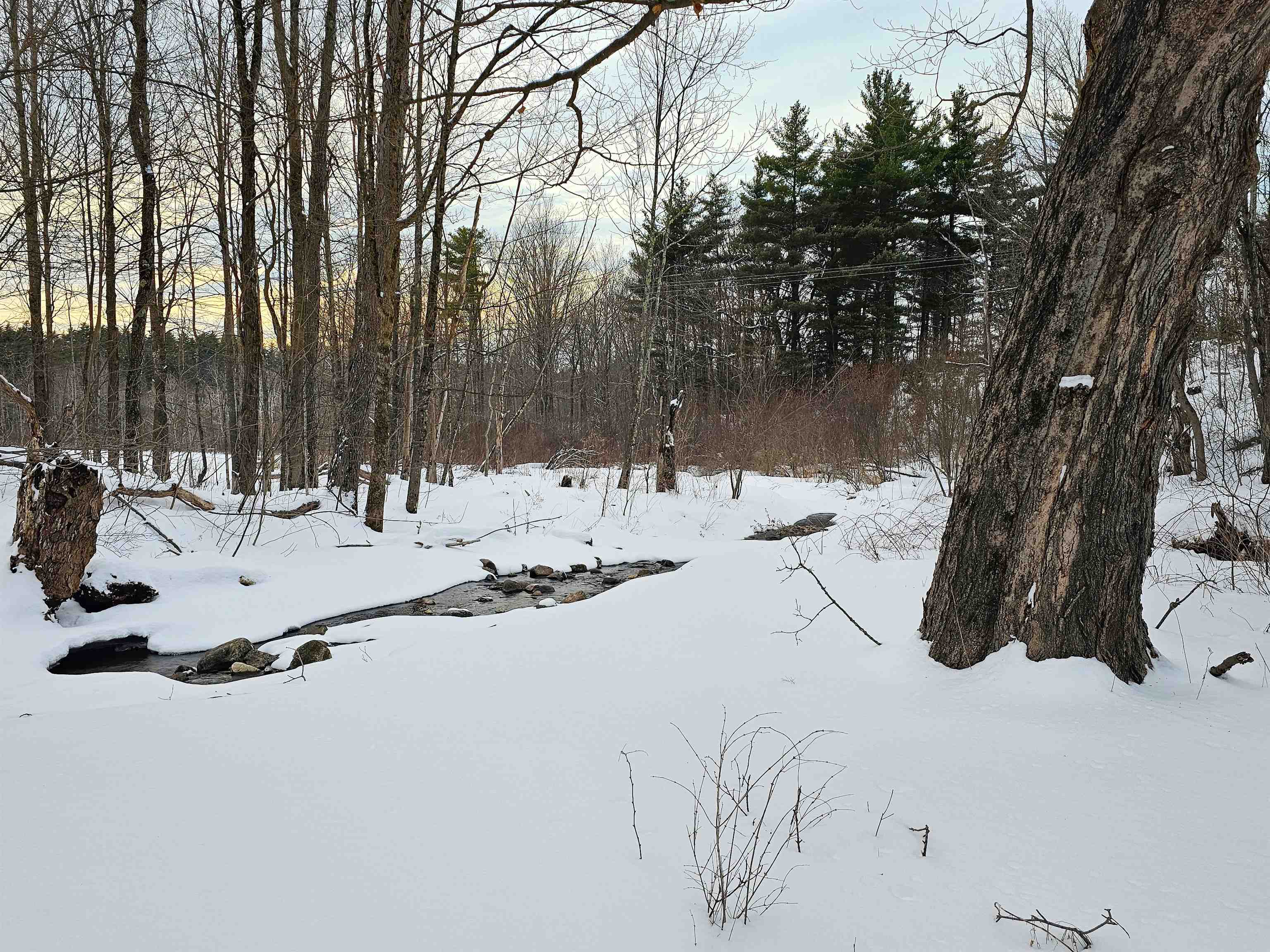 339 South Stream Road Property Photo