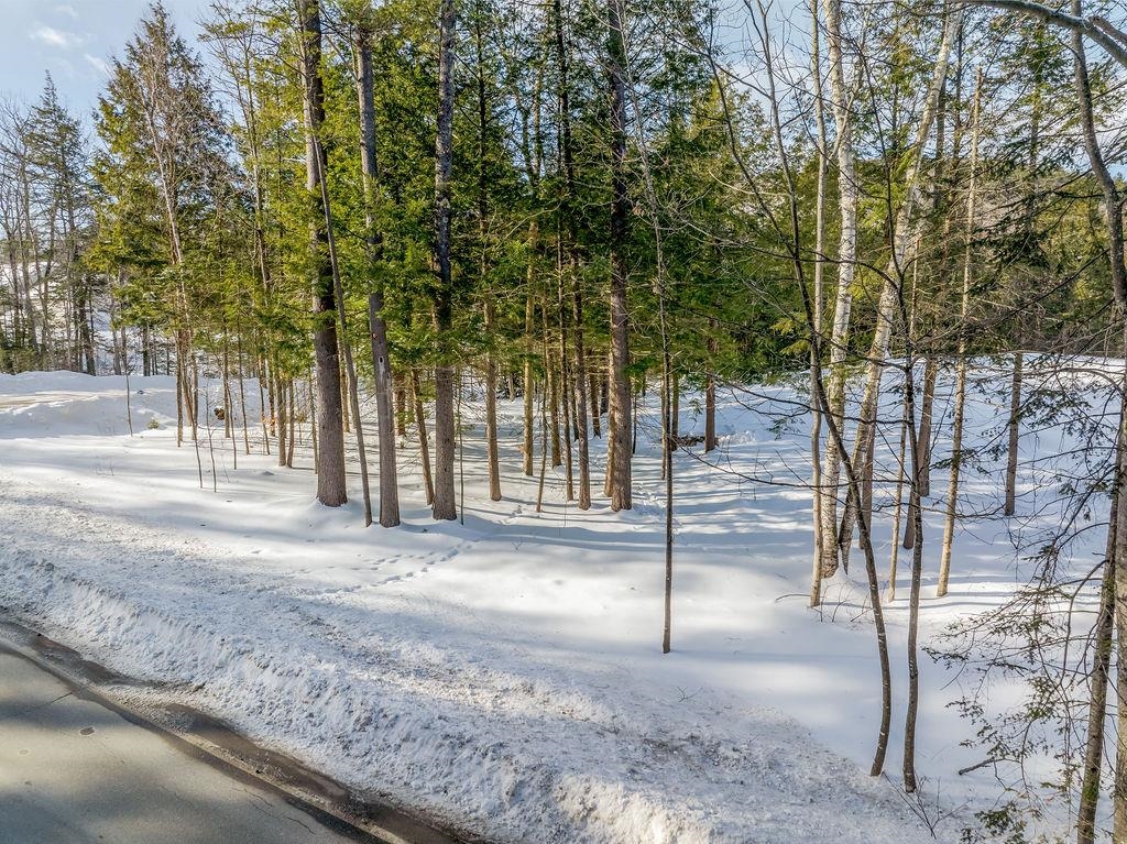 Edgemont Road Property Photo 8