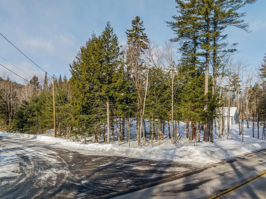 Edgemont Road Property Photo 18