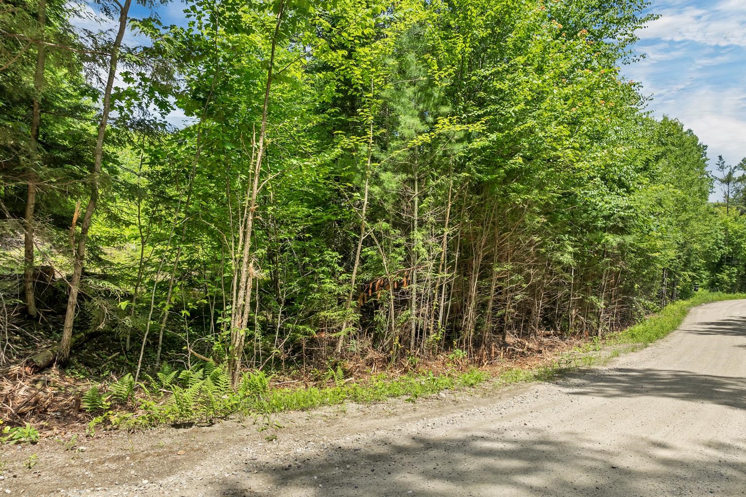 Lot 14 Centennial Way Property Photo 20