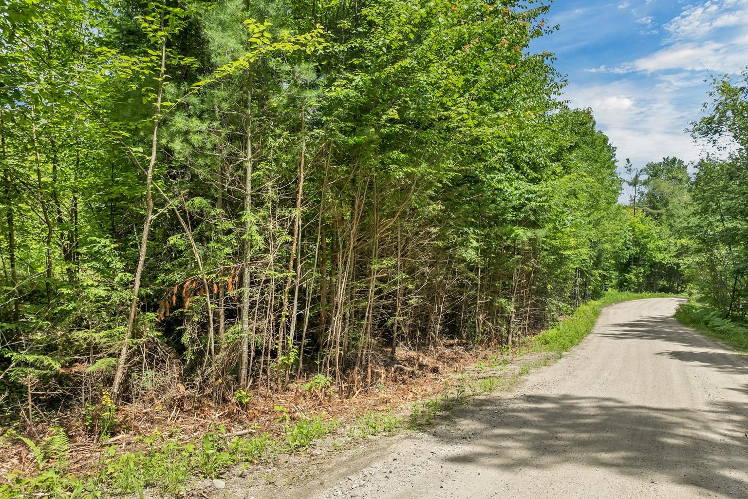 Lot 14 Centennial Way Property Photo 21