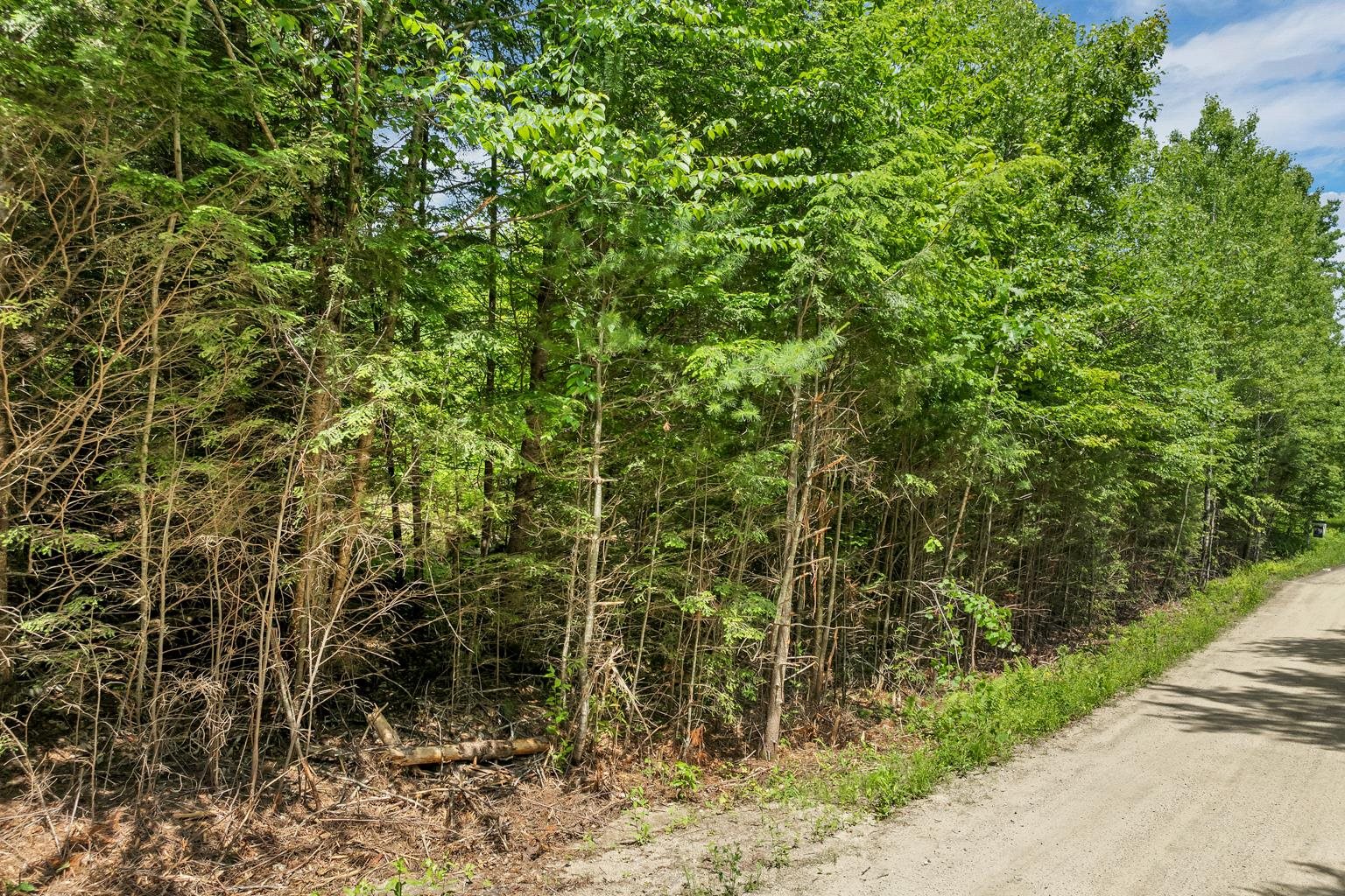 Lot 14 Centennial Way Property Photo 22