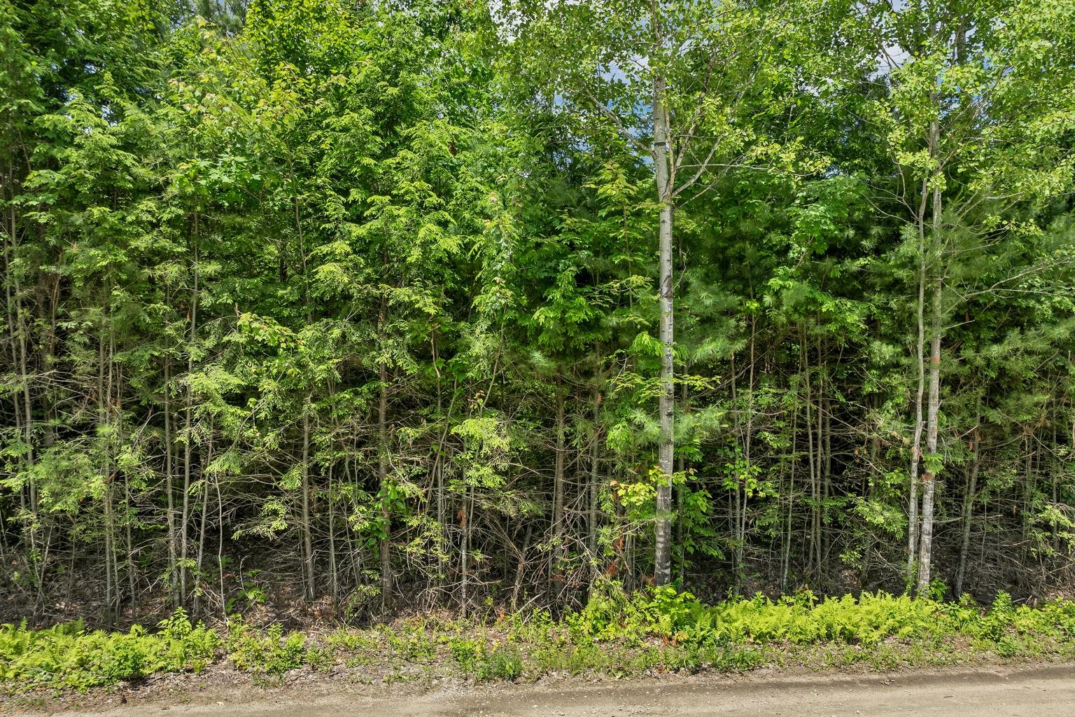 Lot 14 Centennial Way Property Photo 23