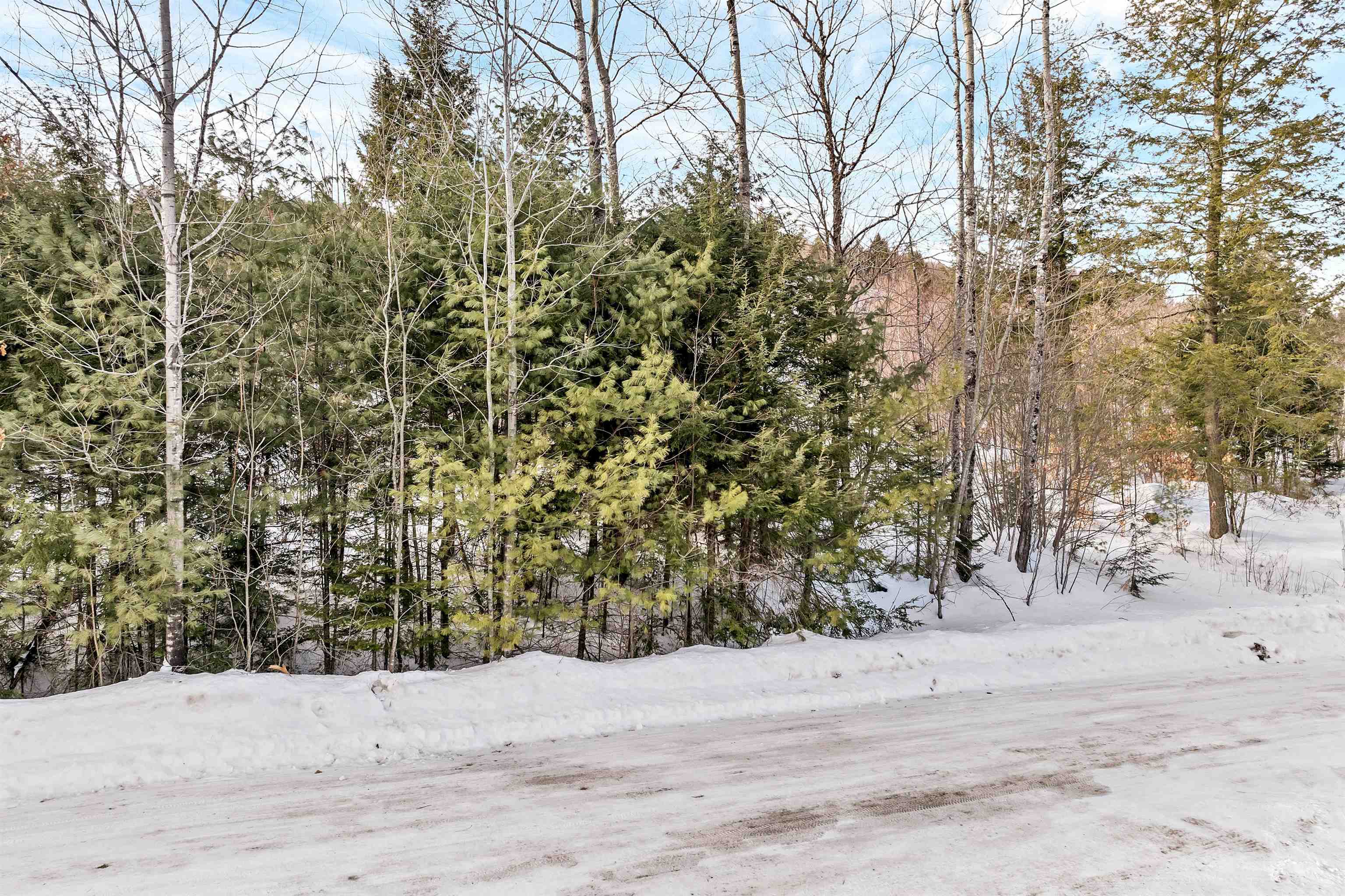 Lot 14 Centennial Way Property Photo 34
