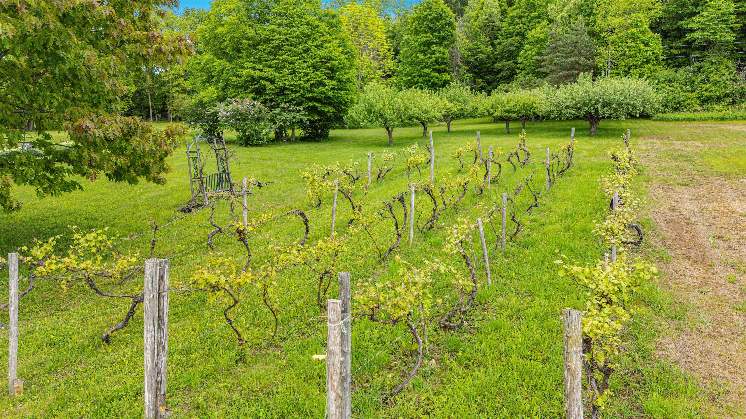 302 Ledge Hill Drive Property Photo 54