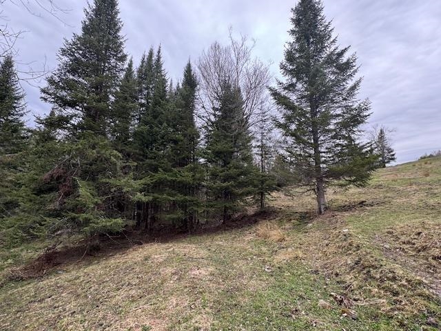 Collinsville Road Property Photo