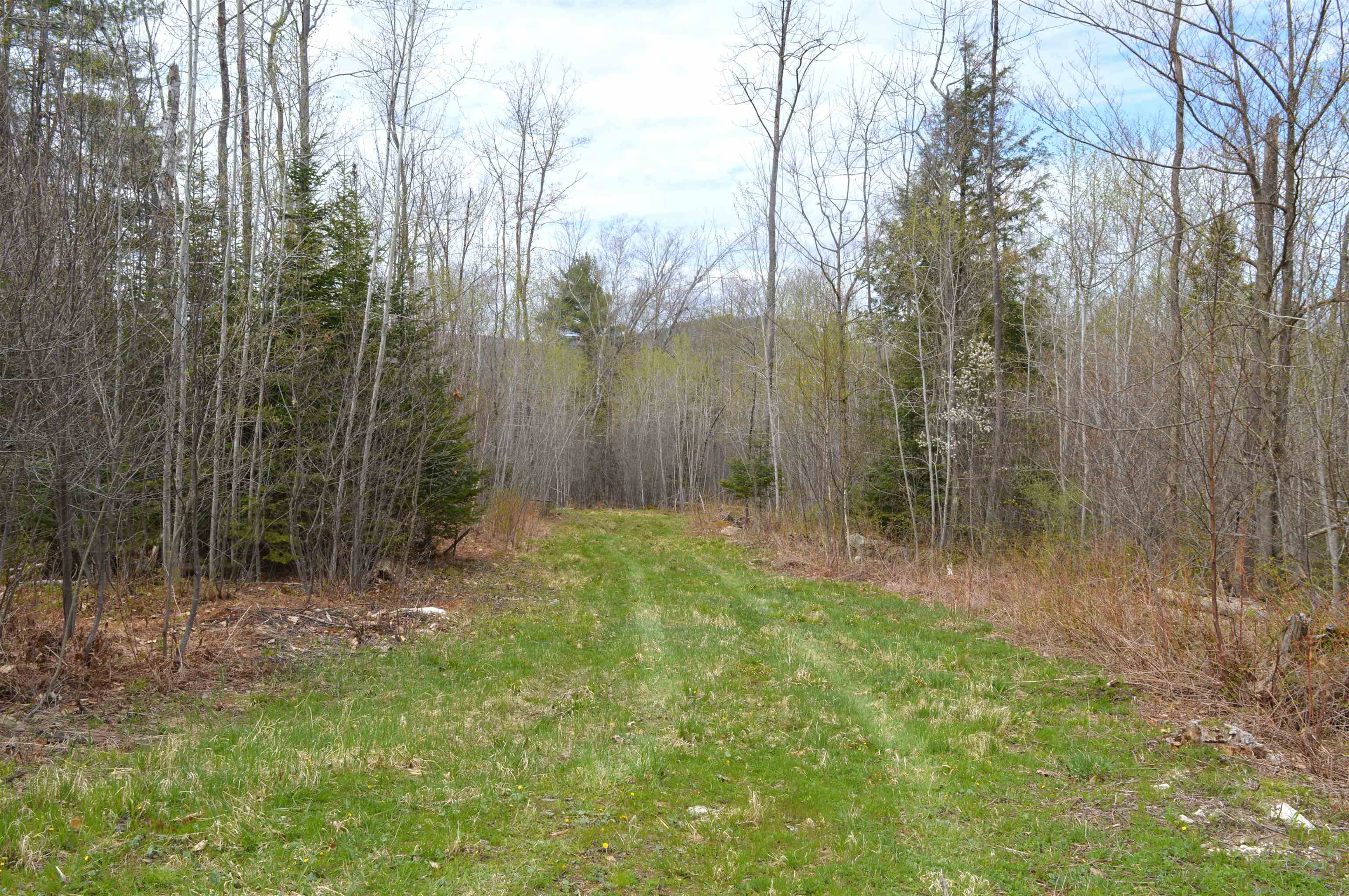 428 Maple Street Property Photo 5