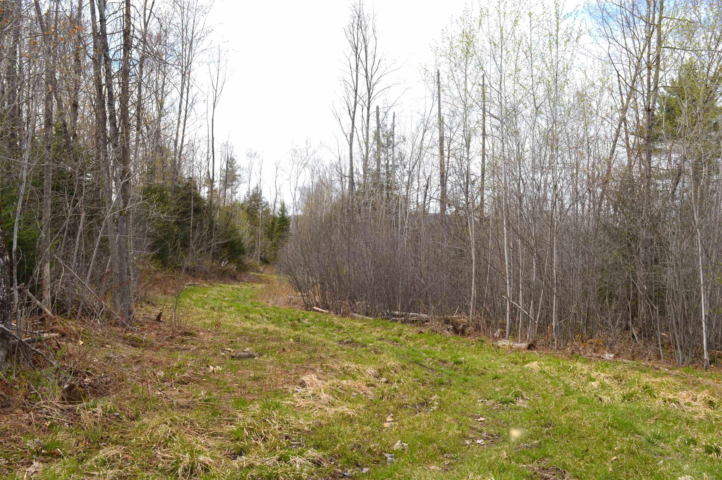 428 Maple Street Property Photo 6
