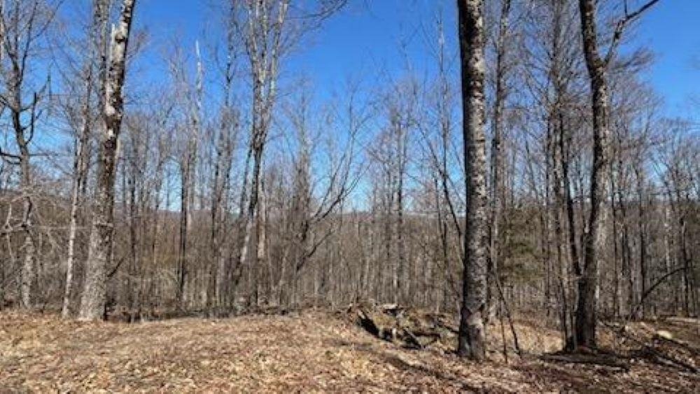 1376 Kingdom Road Property Photo