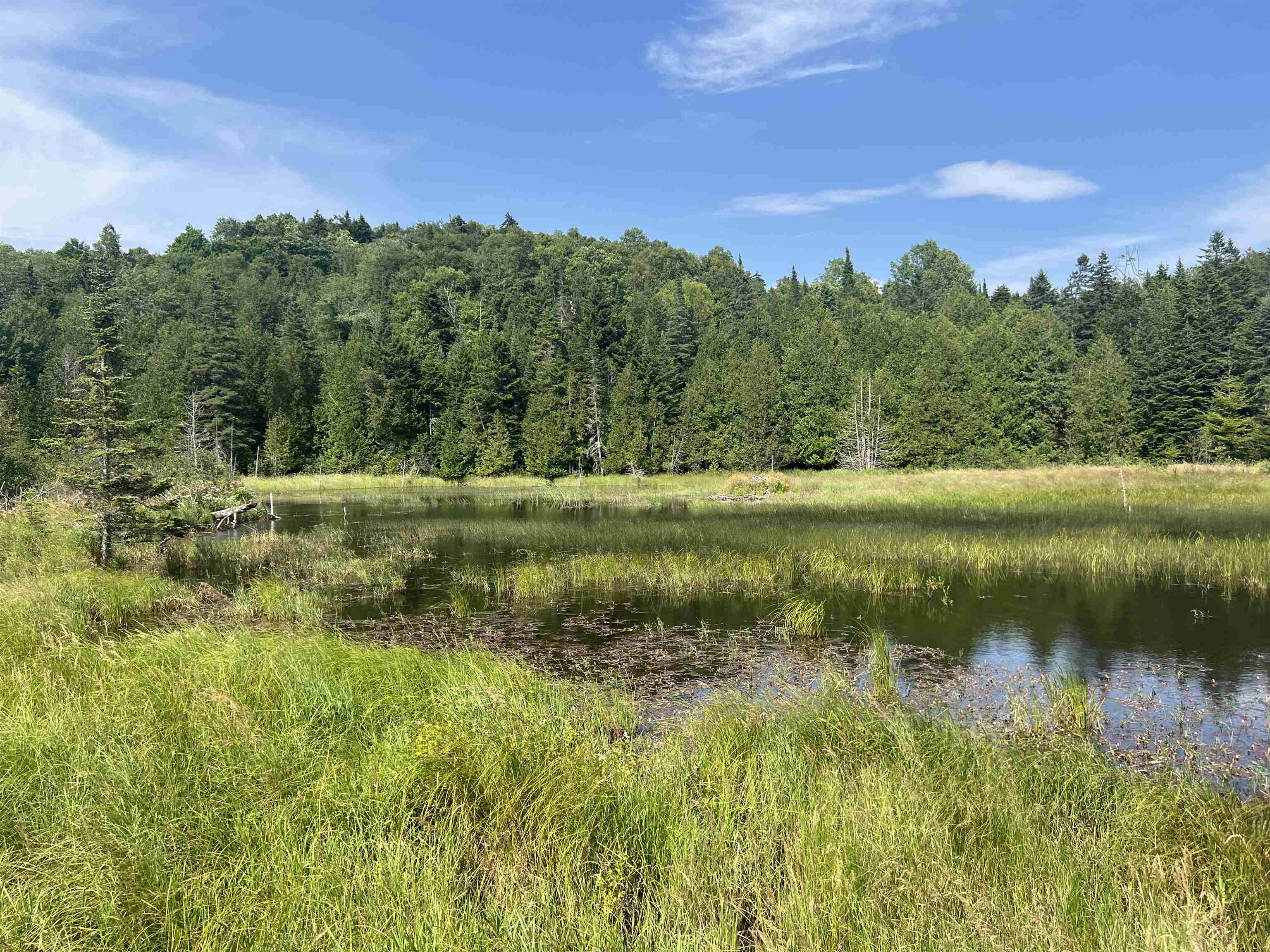 0 Hartwell Pond Road Property Photo