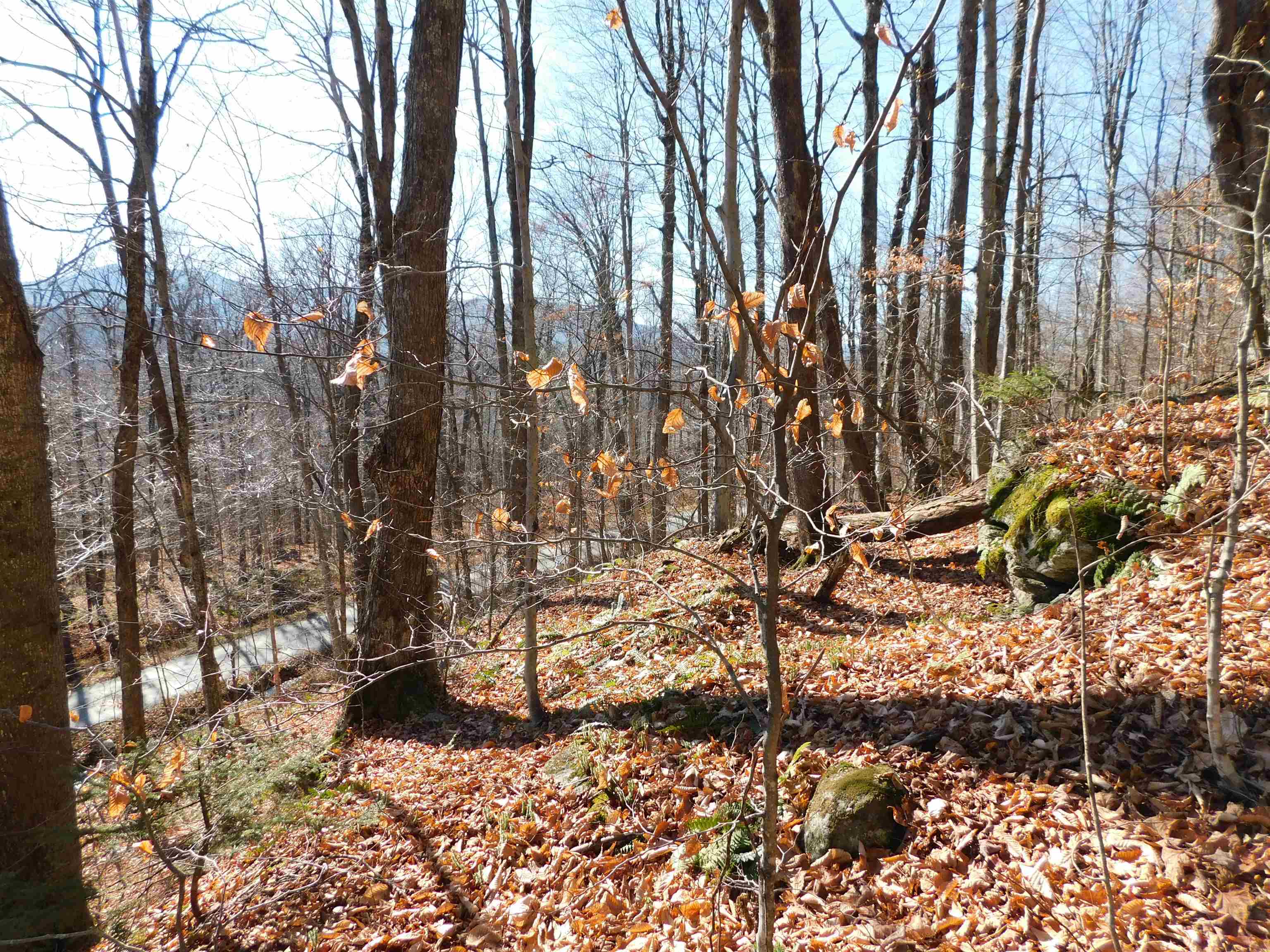 00 Highland Drive Property Photo