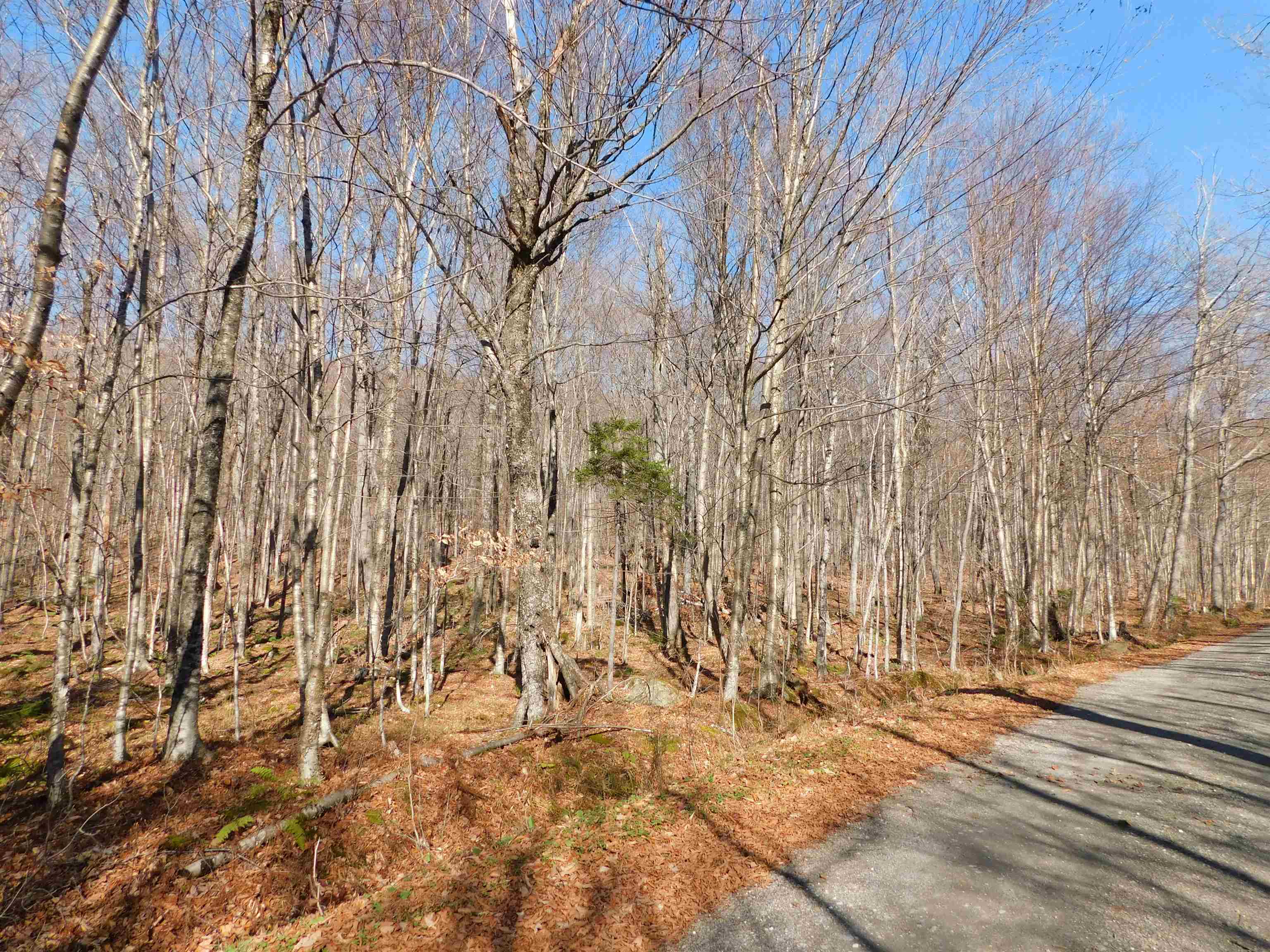 00 Highland Drive Property Photo