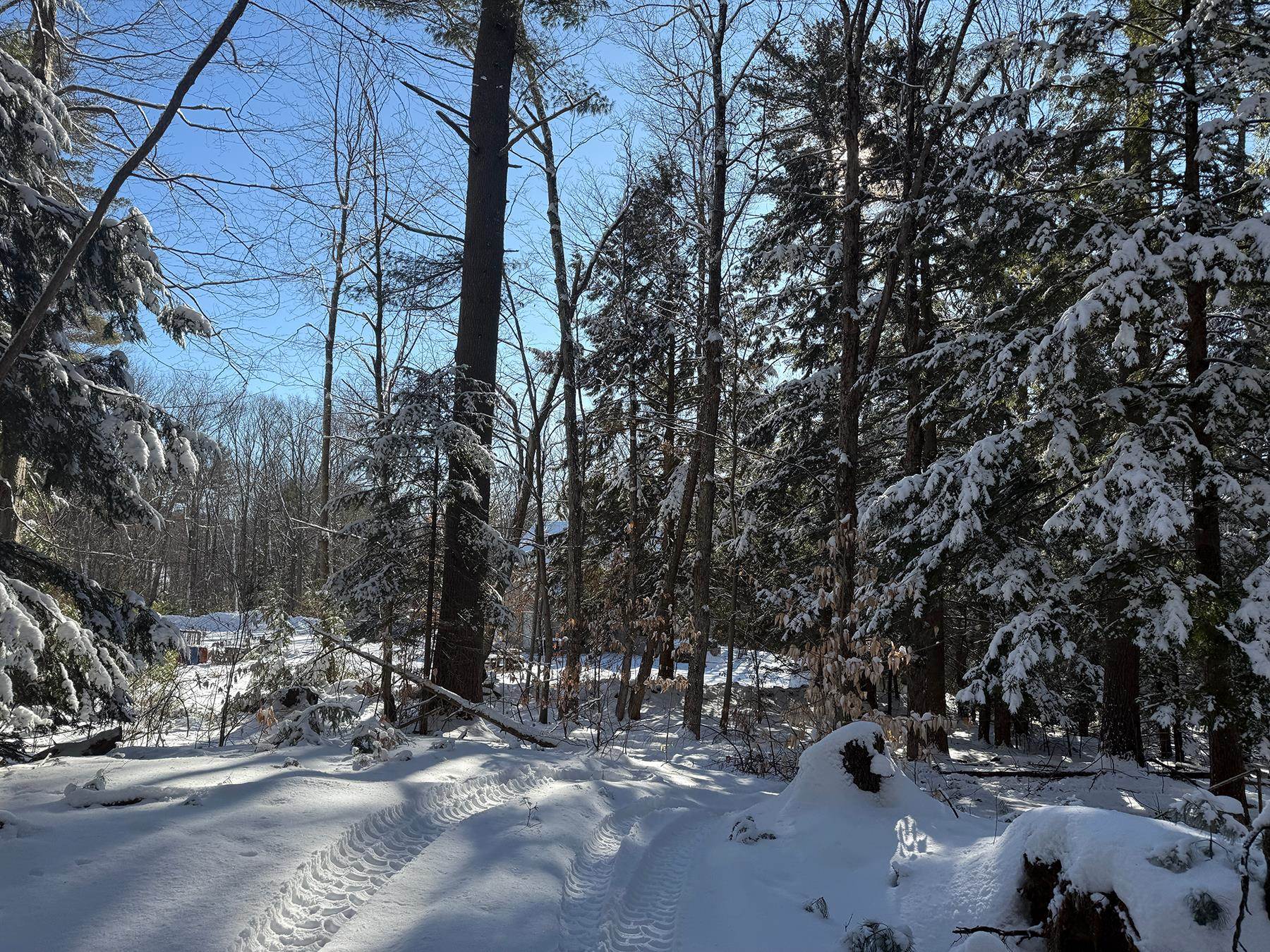 Province Road Property Photo 3
