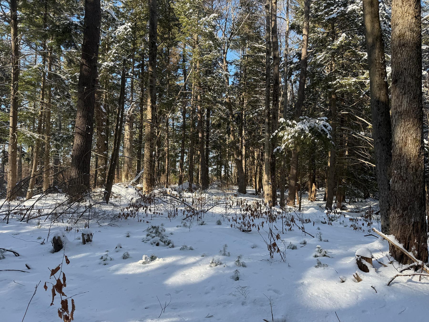 Province Road Property Photo 10