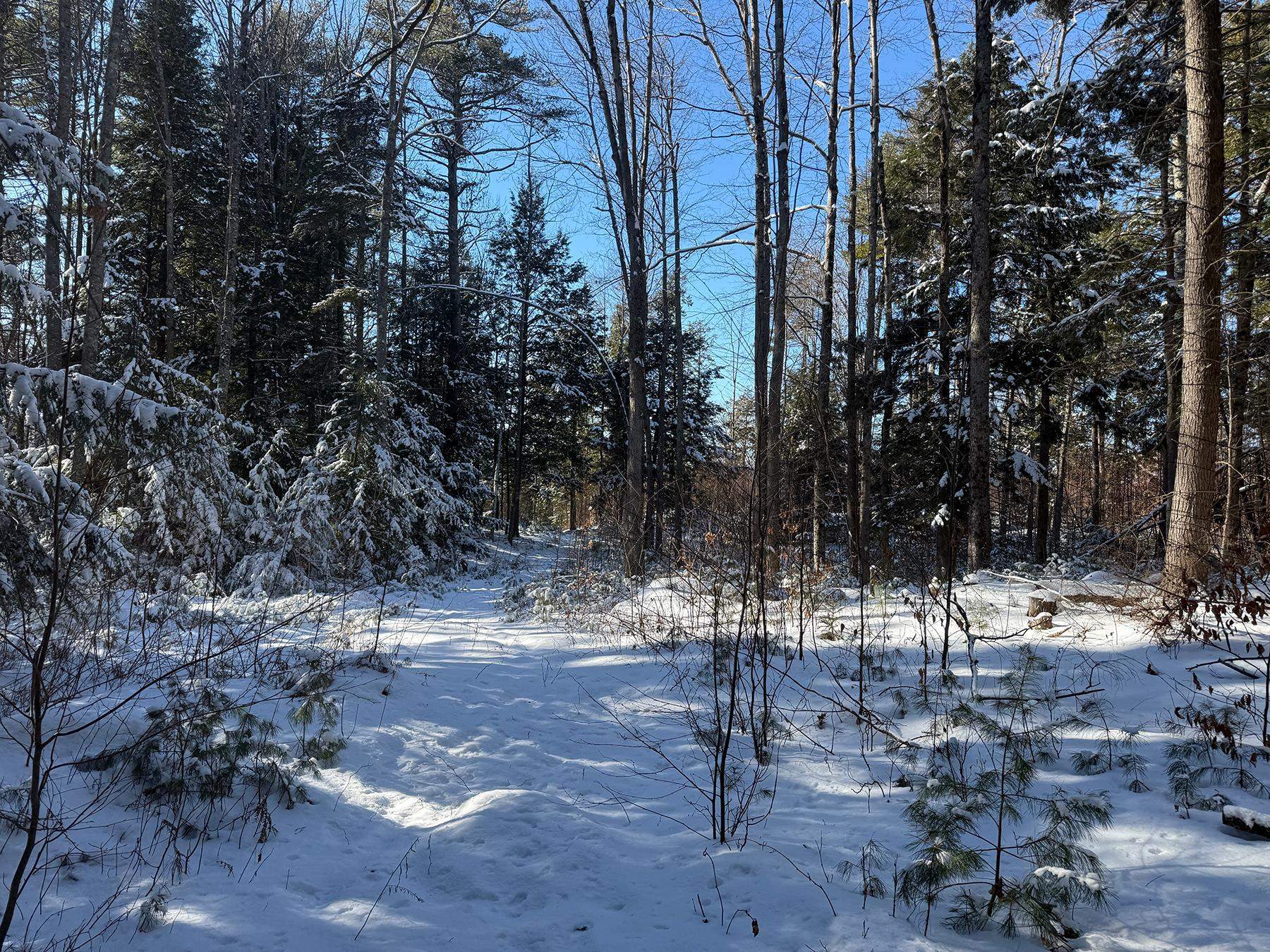 Province Road Property Photo 11