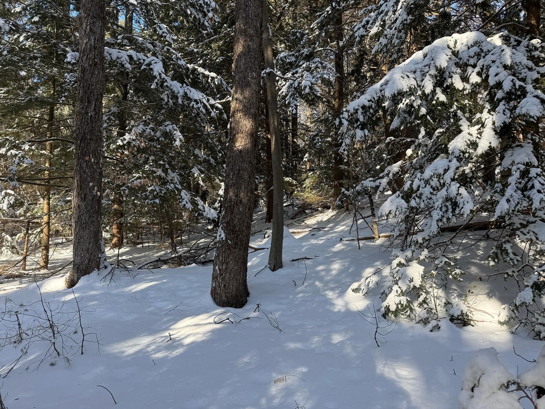 Province Road Property Photo 19