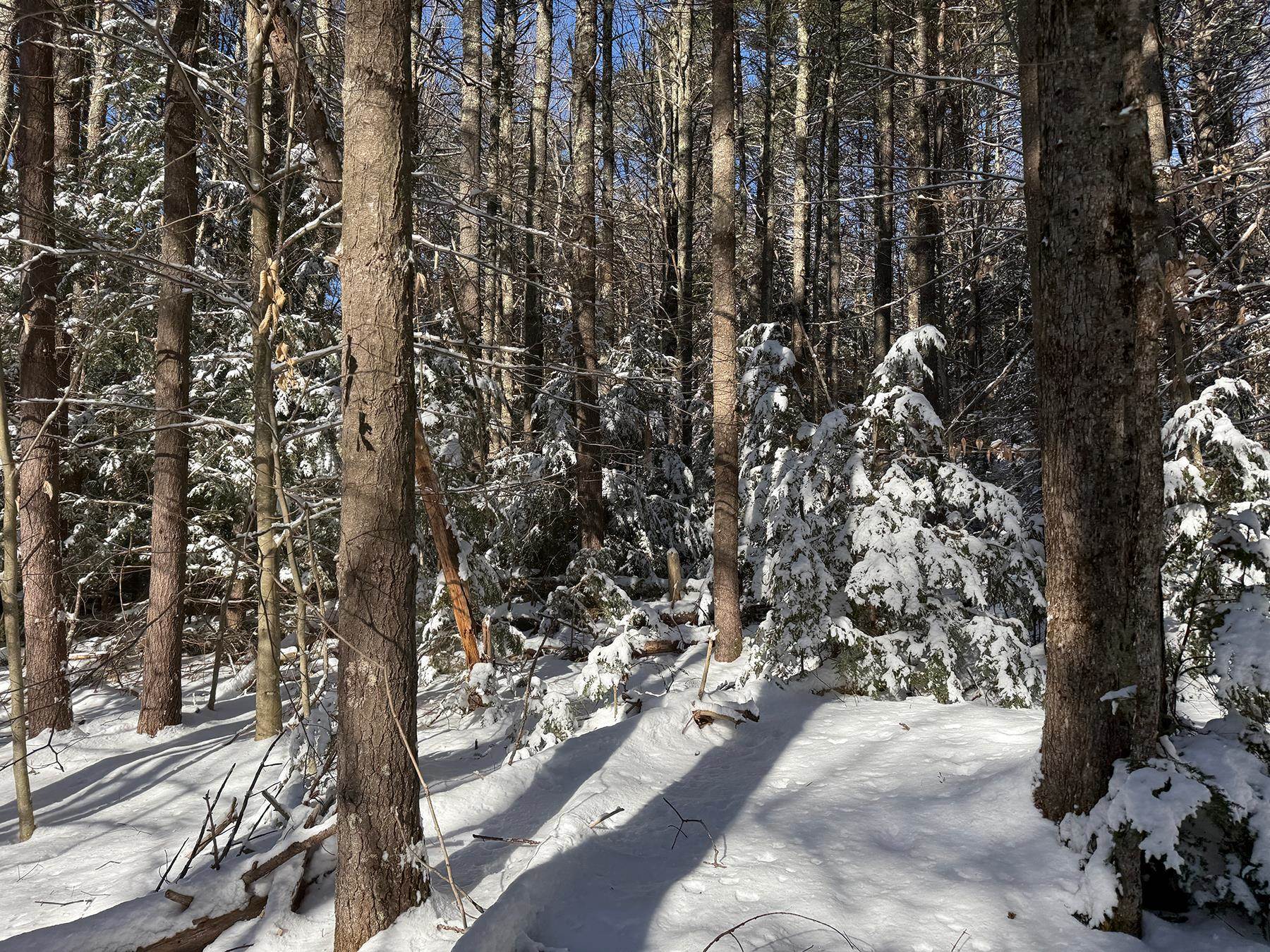 Province Road Property Photo 20
