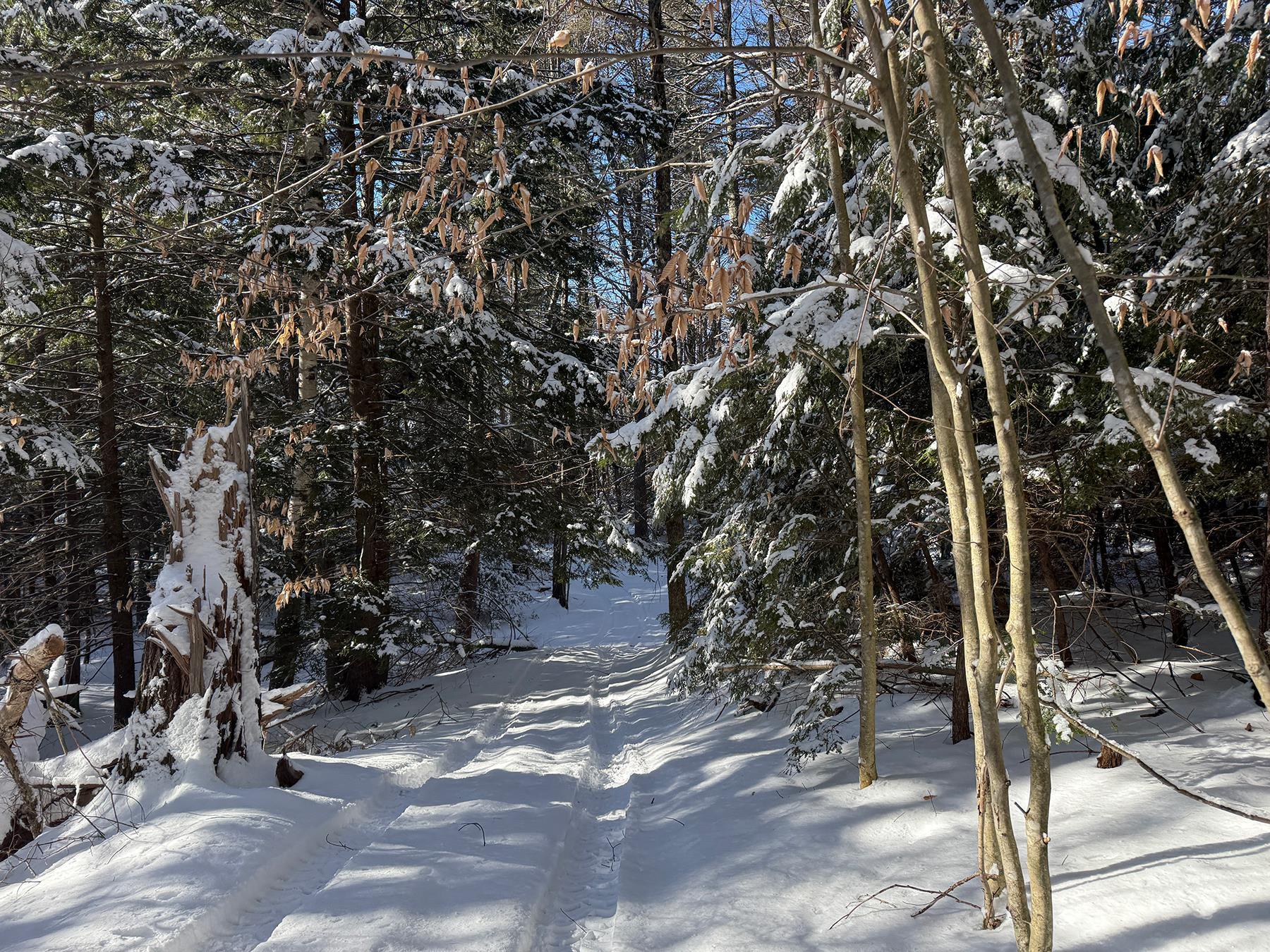 Province Road Property Photo 21
