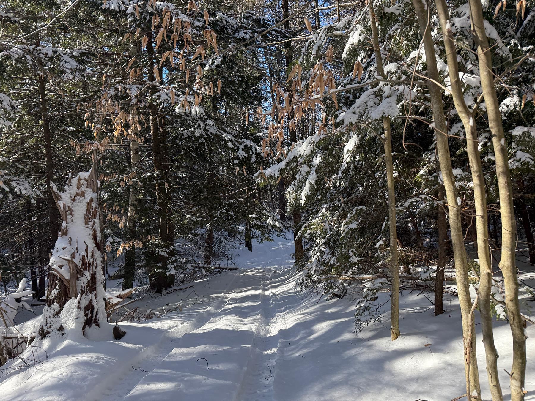 Province Road Property Photo 22