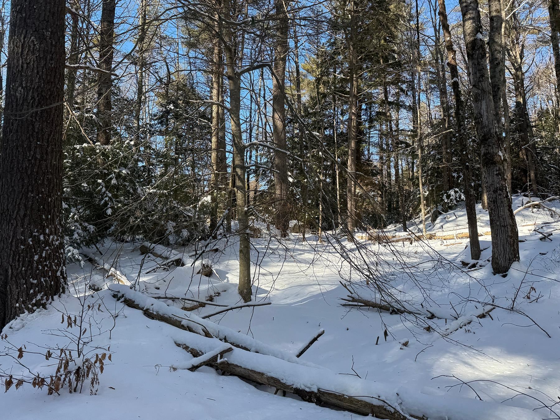 Province Road Property Photo 24