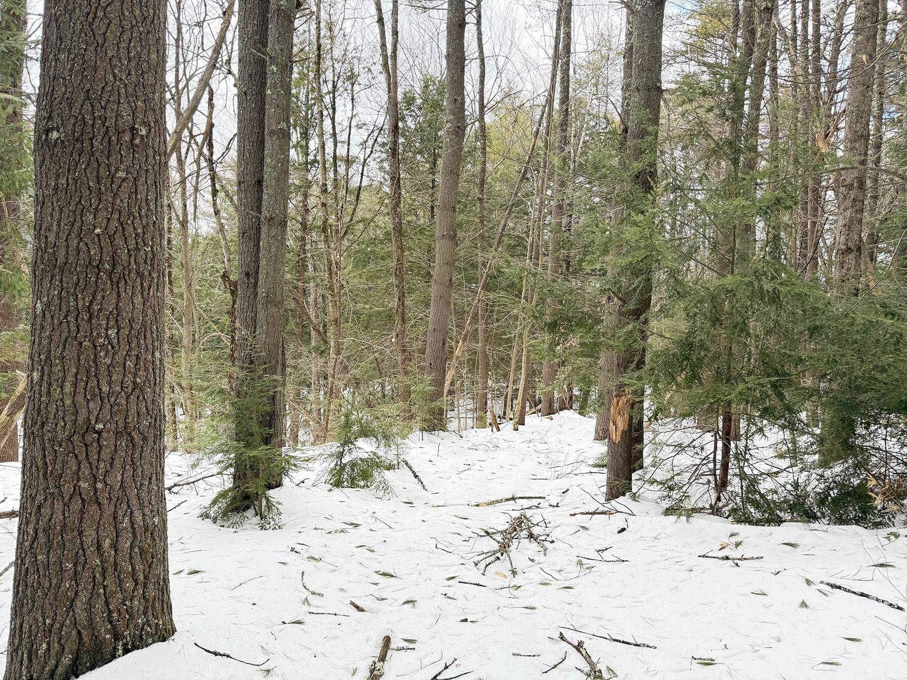 Province Road Property Photo 25