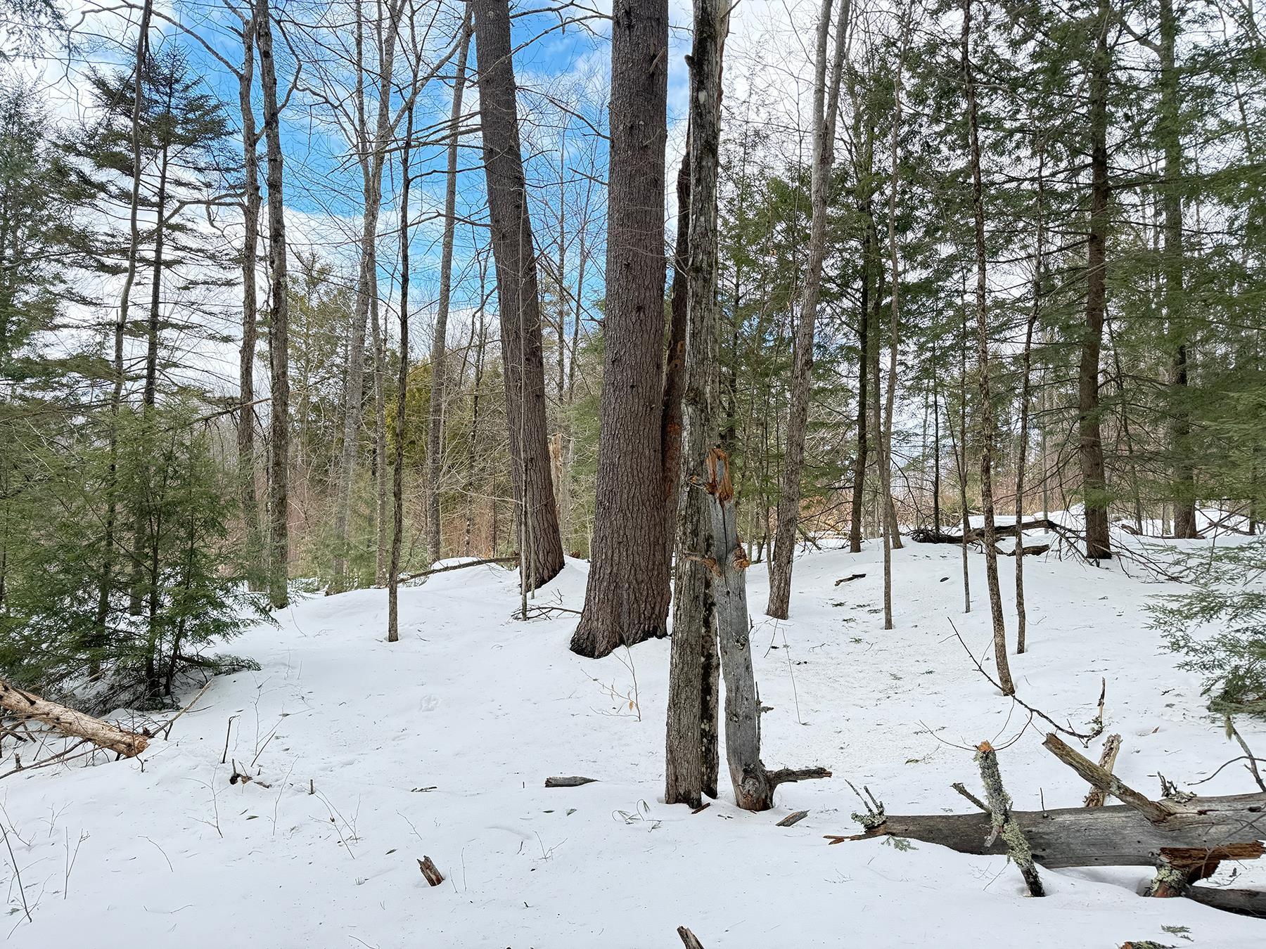 Province Road Property Photo 26