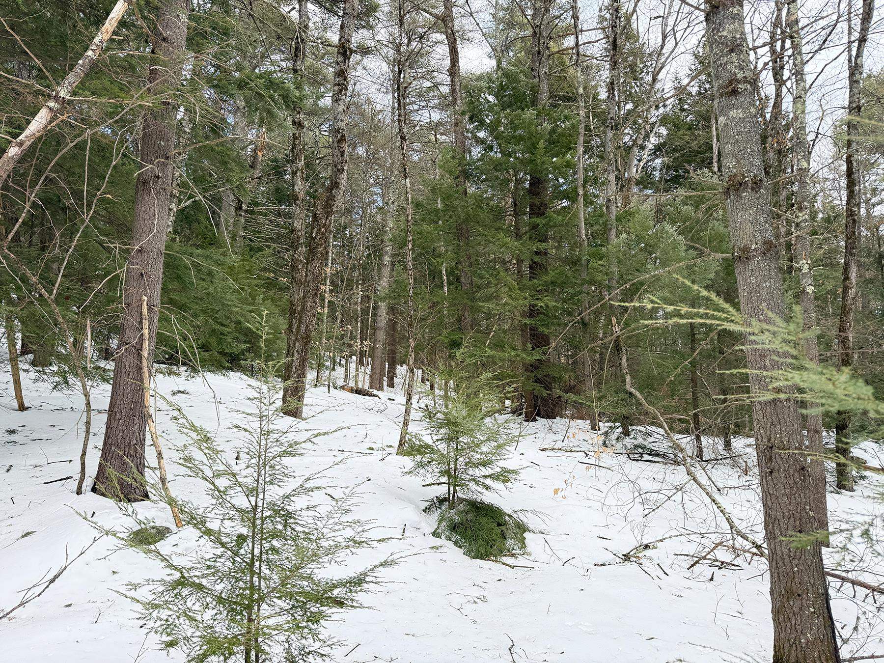 Province Road Property Photo 27