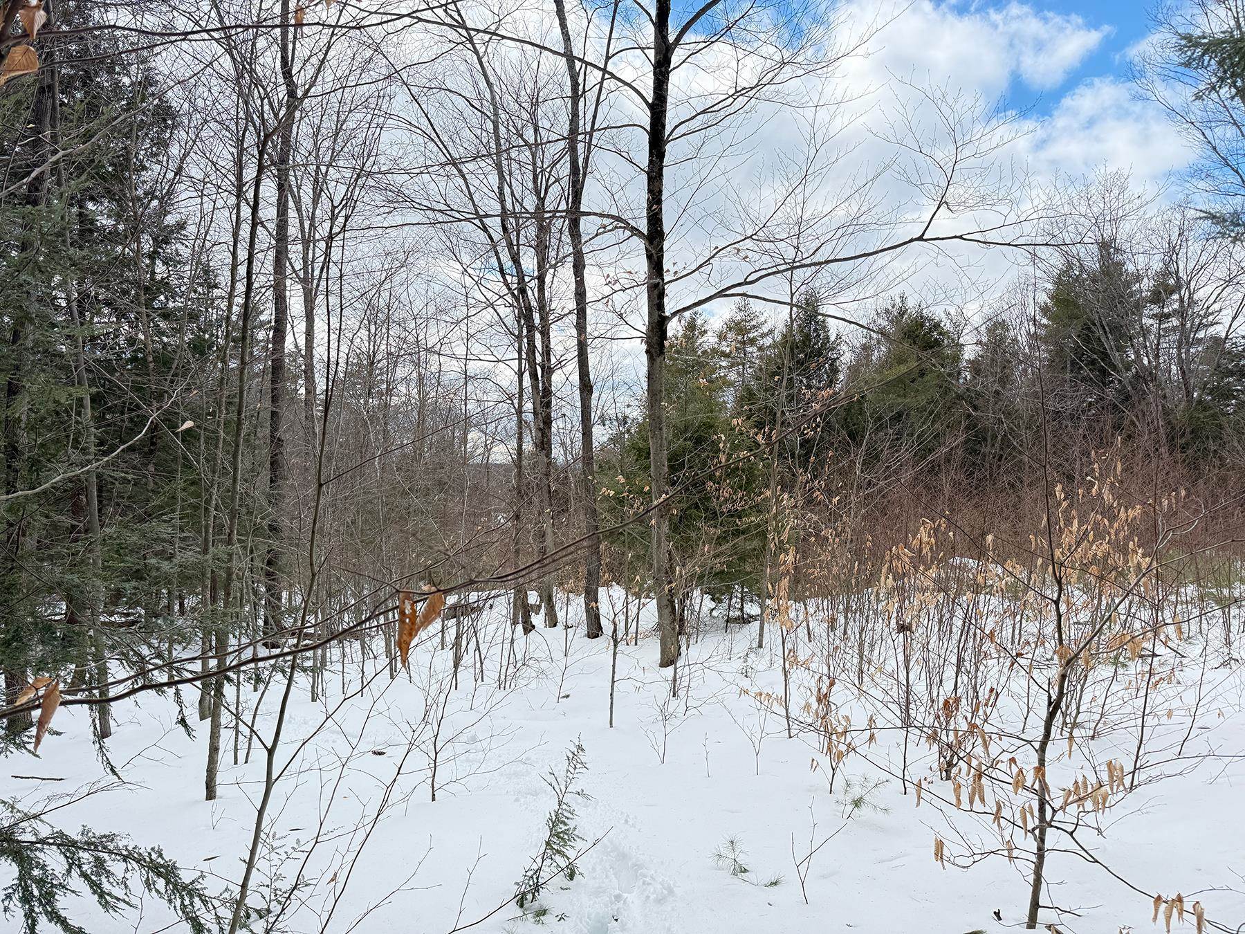 Province Road Property Photo 28