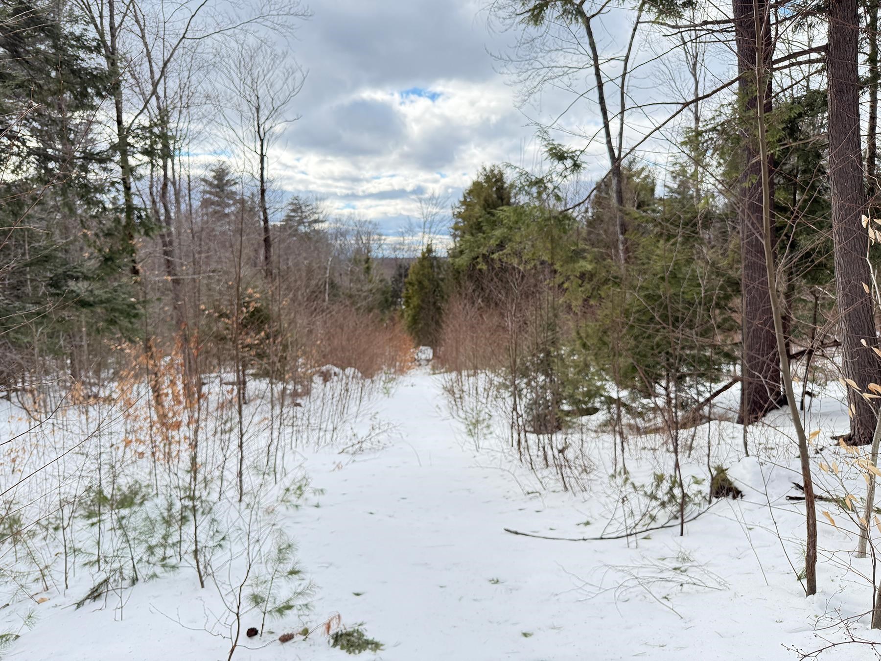 Province Road Property Photo 29