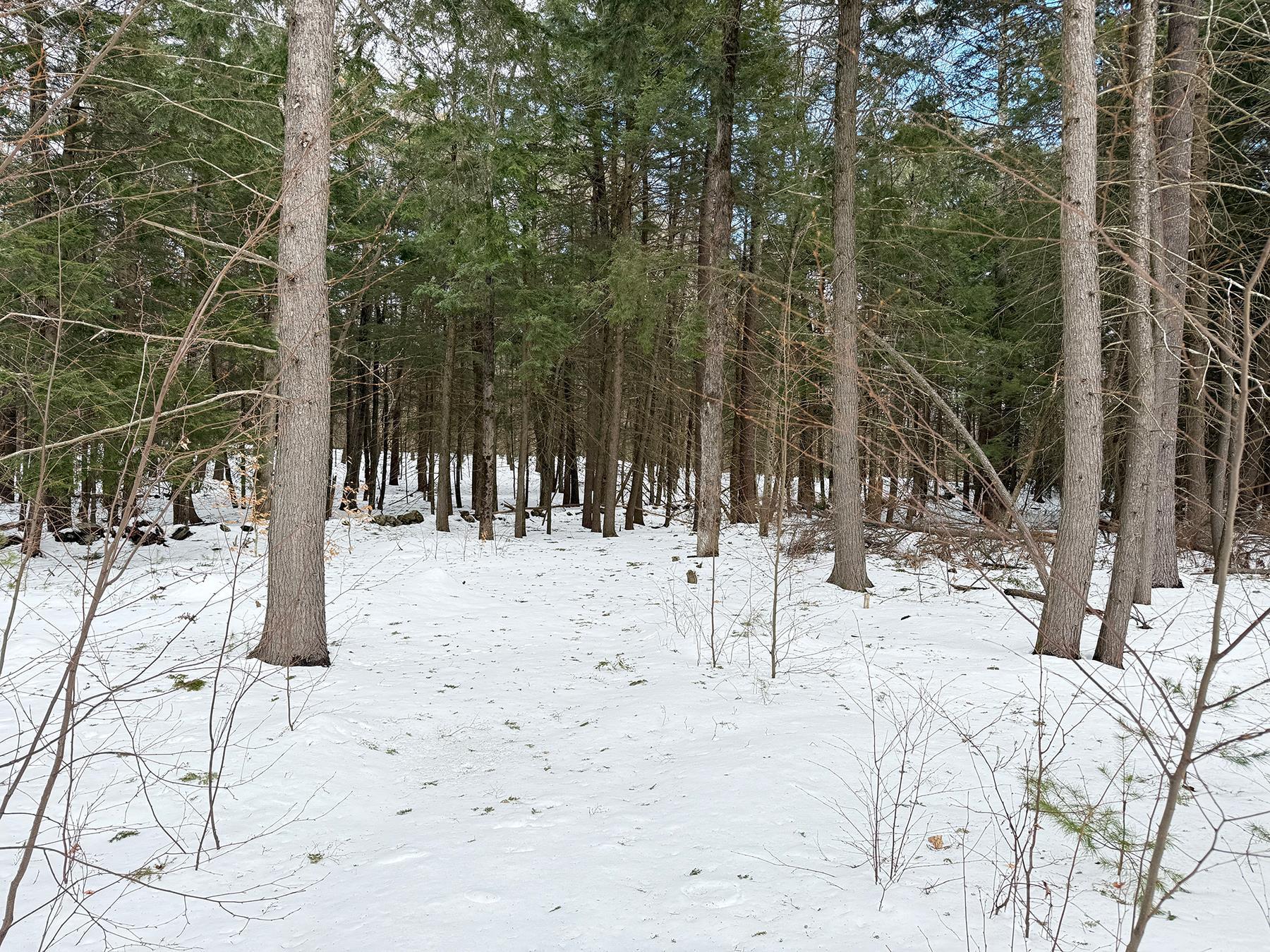 Province Road Property Photo 30