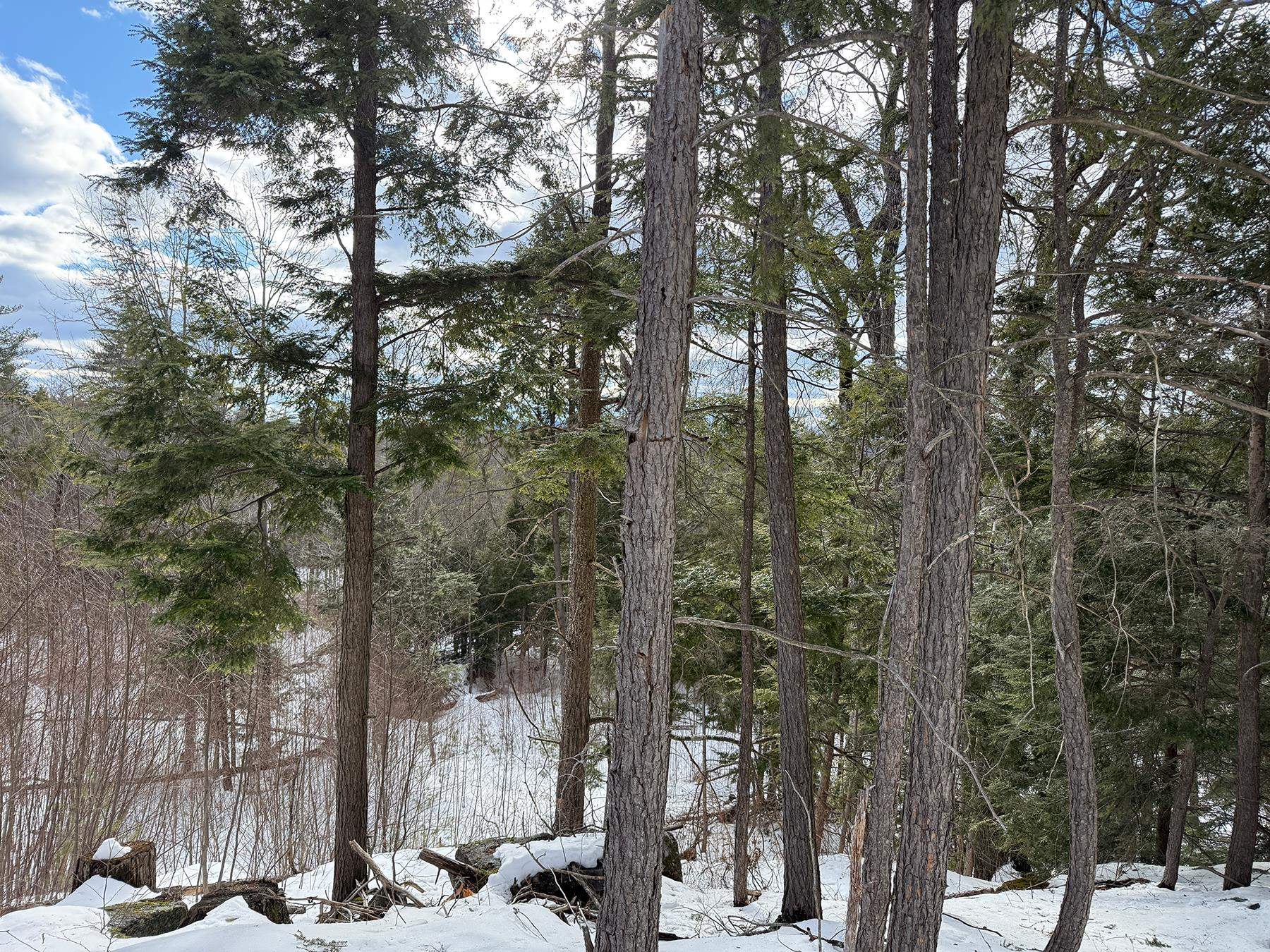 Province Road Property Photo 31