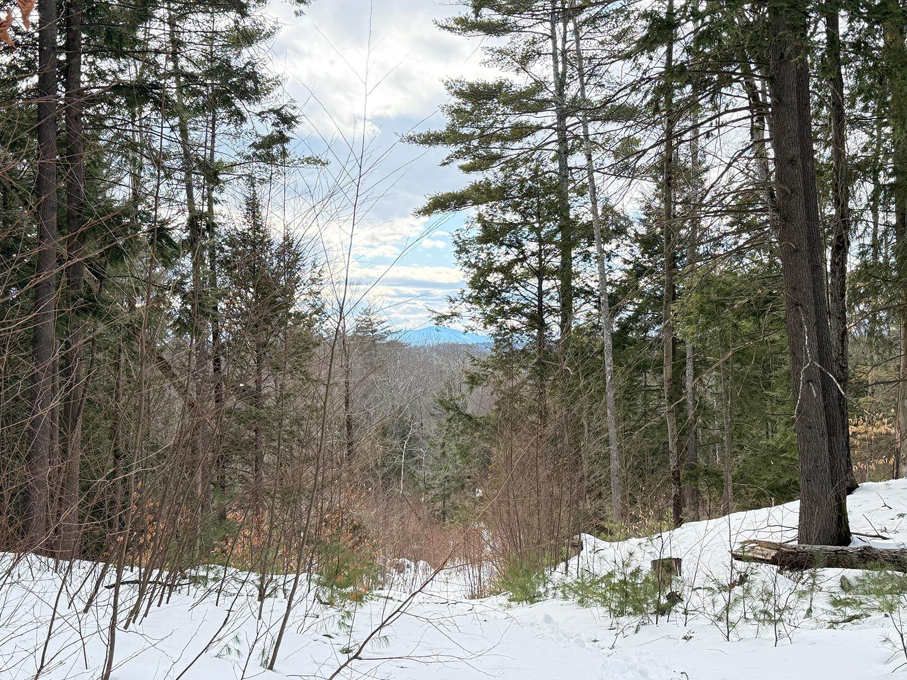 Province Road Property Photo 33