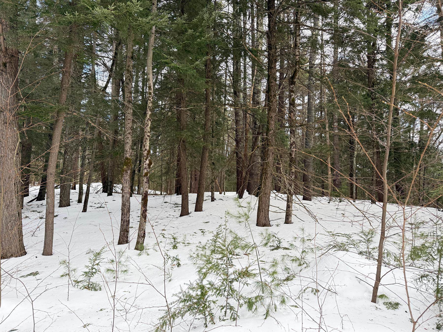Province Road Property Photo 34
