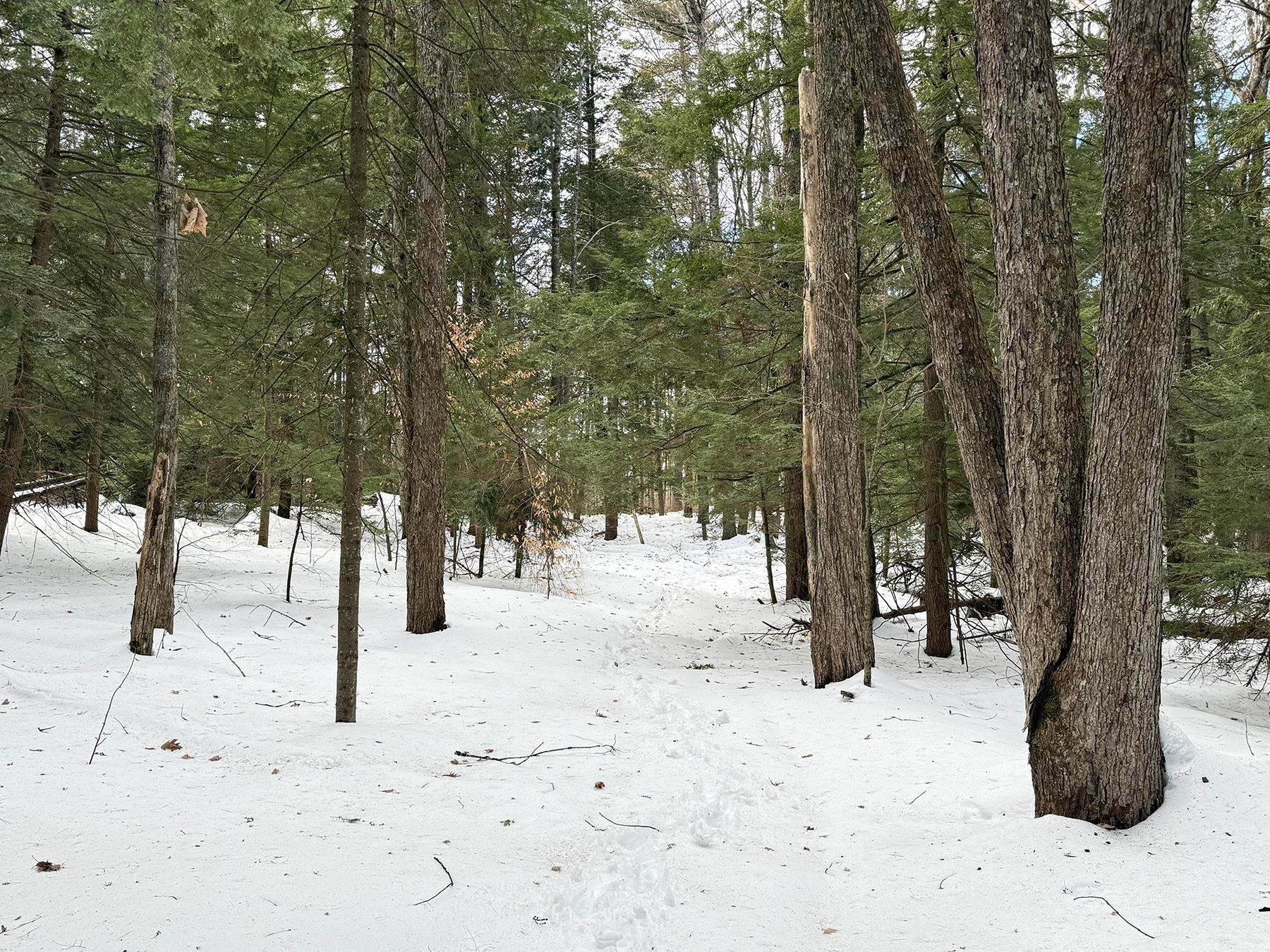 Province Road Property Photo 35