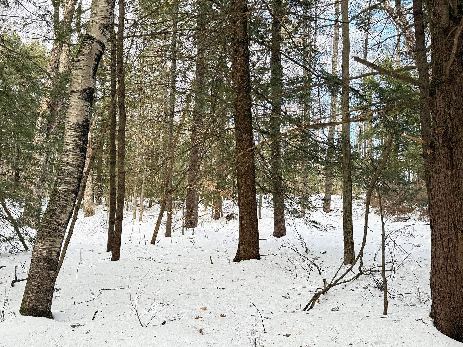 Province Road Property Photo 36