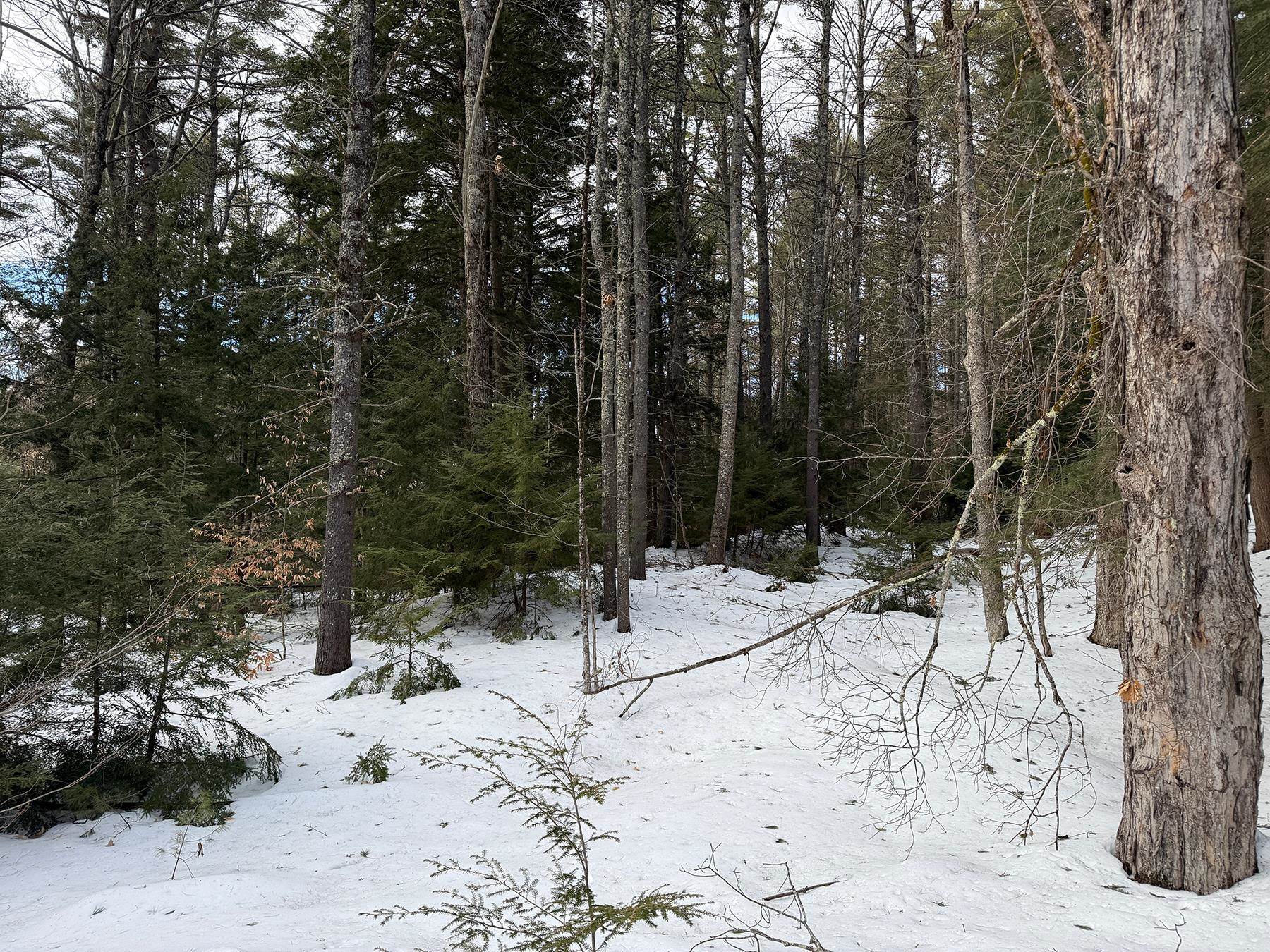 Province Road Property Photo 39