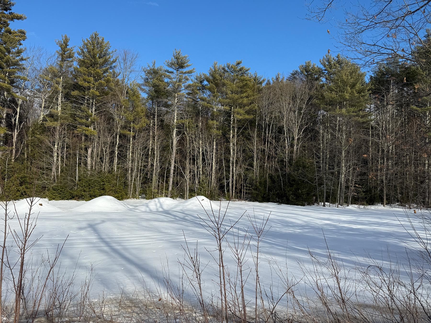 Province Road Property Photo 41